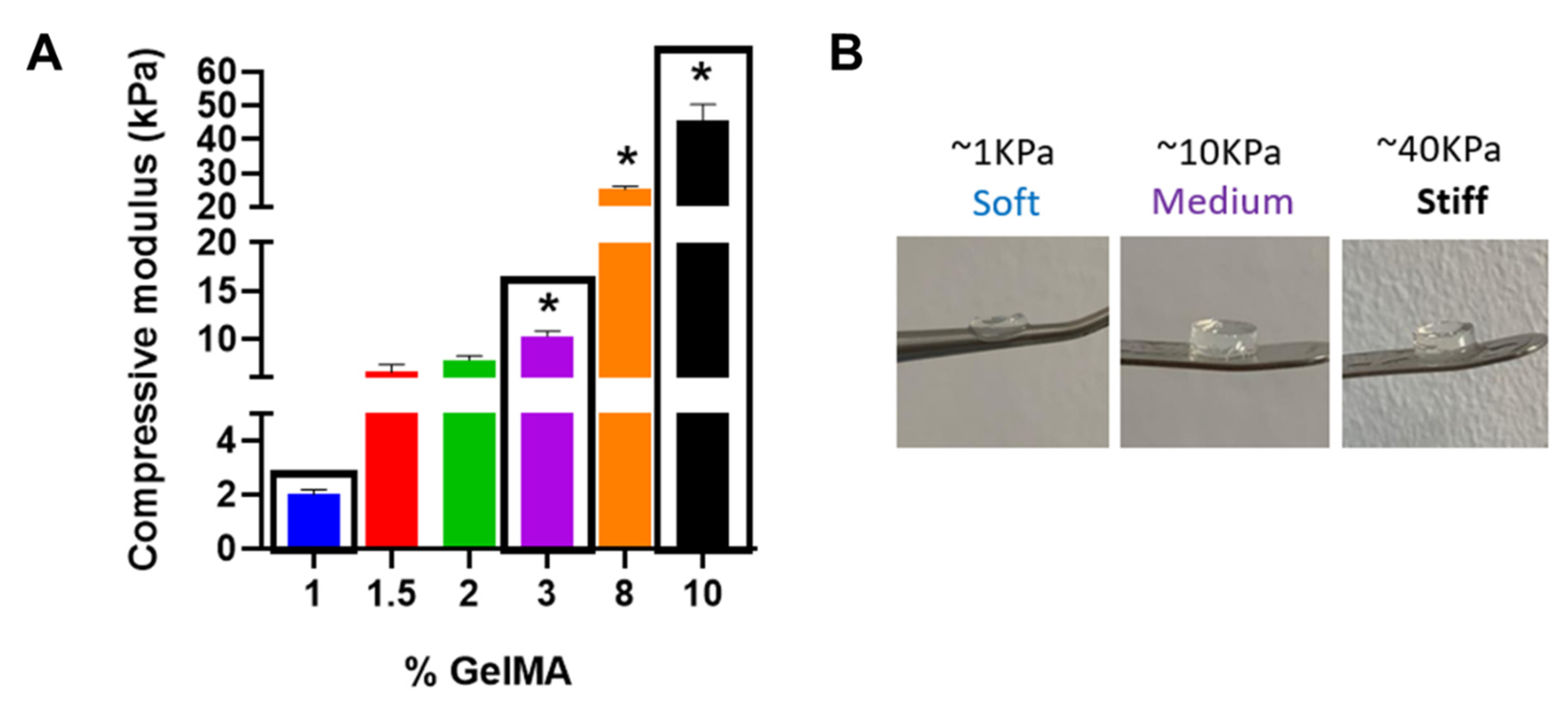 Polymers 13 02510 g001