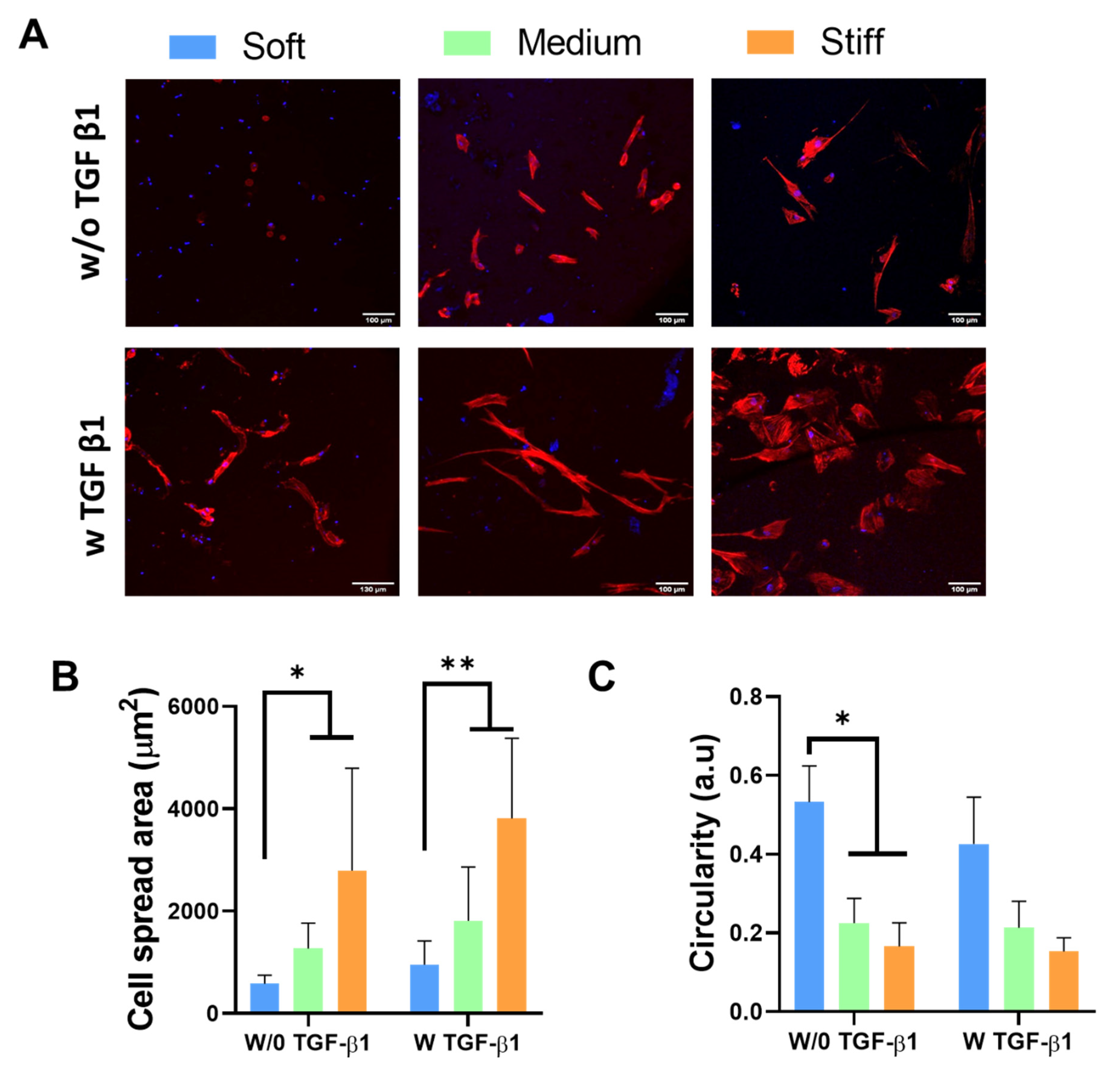 Polymers 13 02510 g002