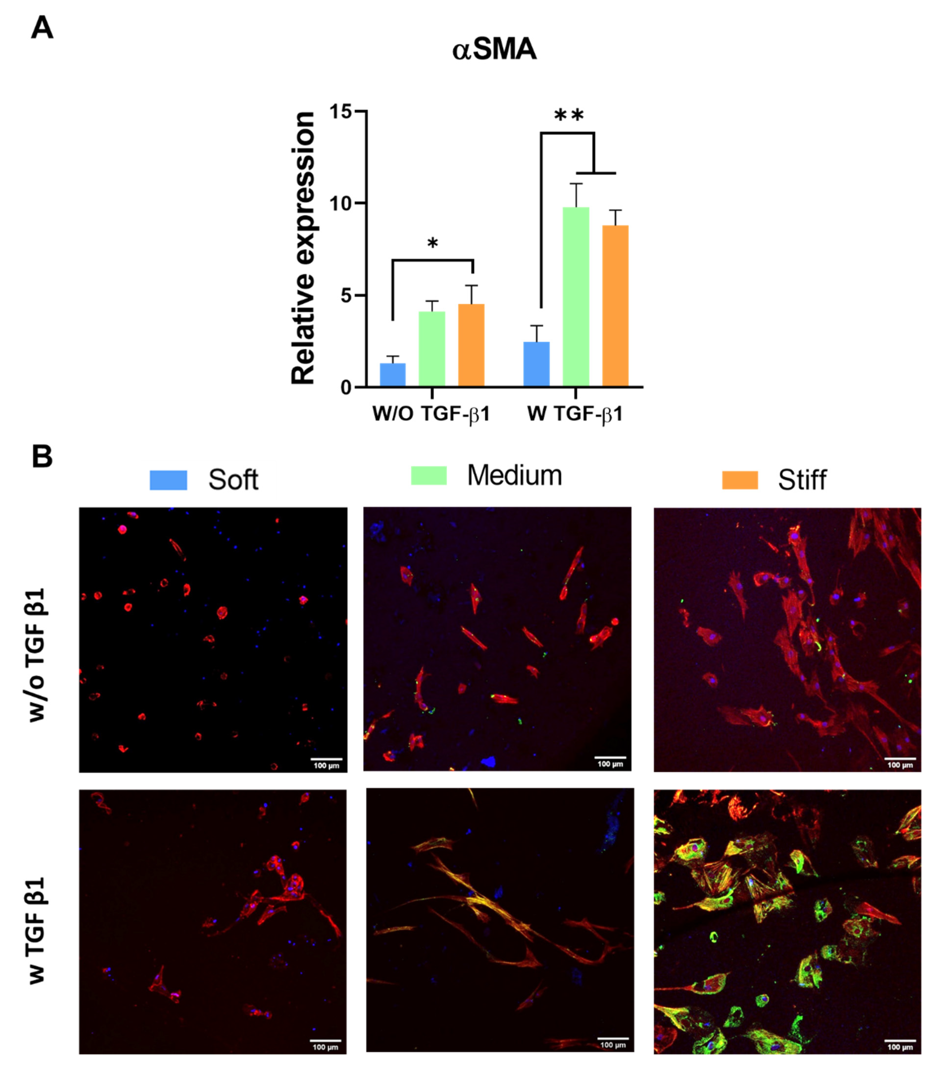 Polymers 13 02510 g003