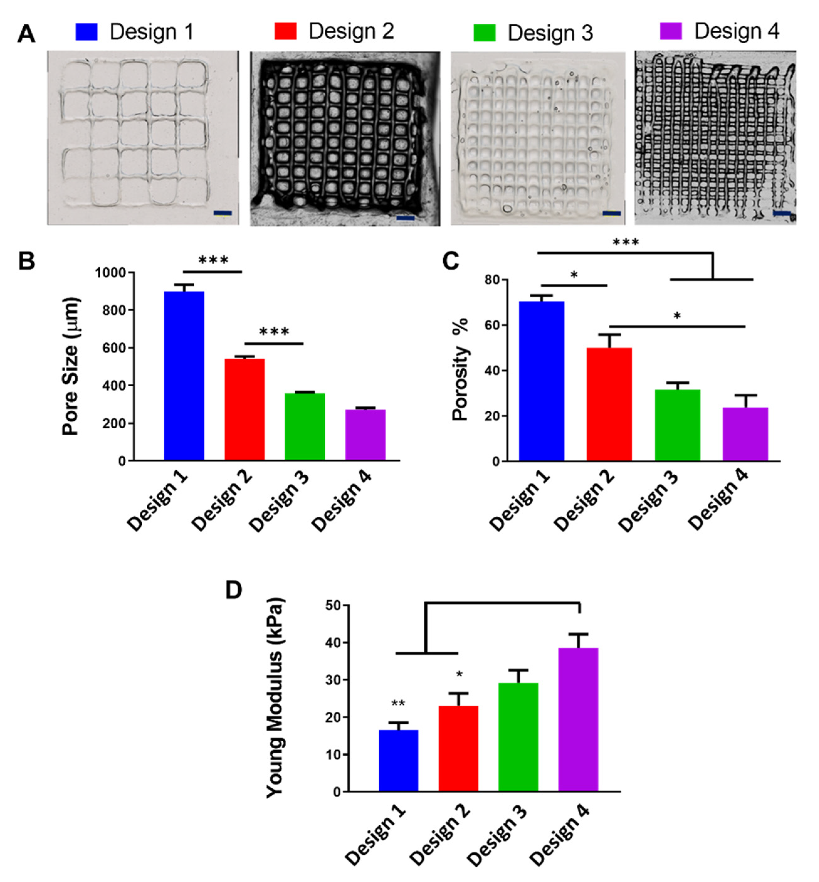Polymers 13 02510 g005