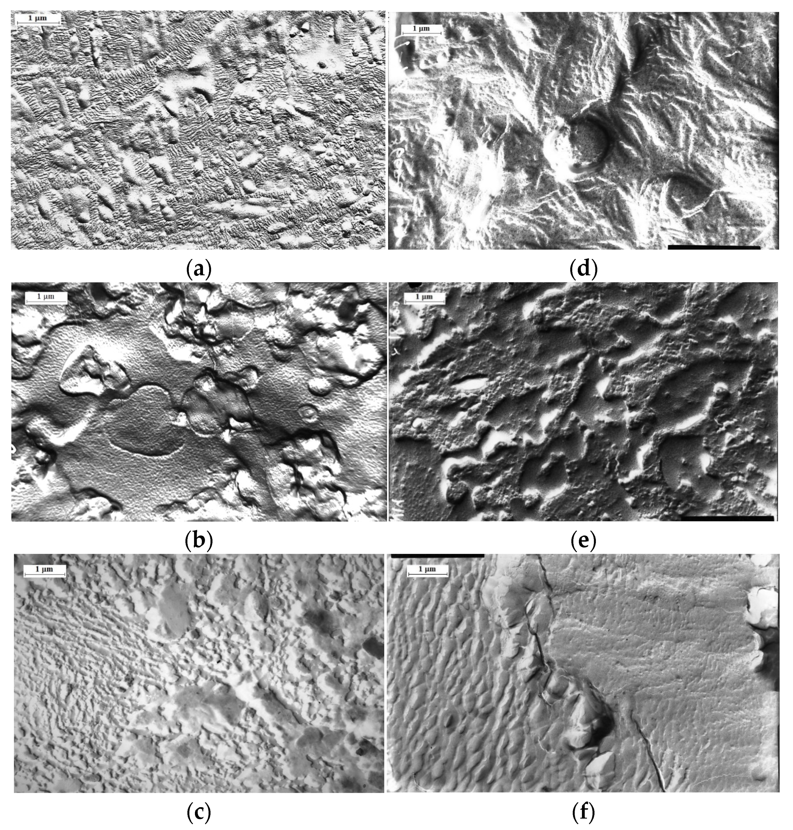 Polymers 13 02512 g008