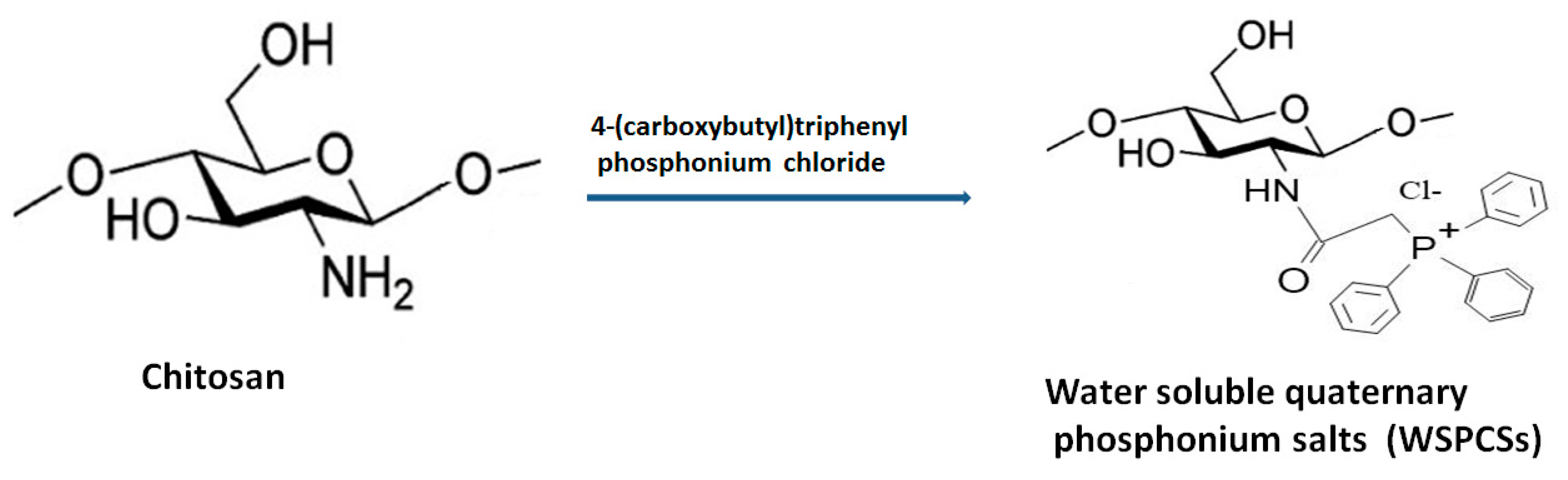 Polymers 13 02514 g008 Polymers 13 02514 g008