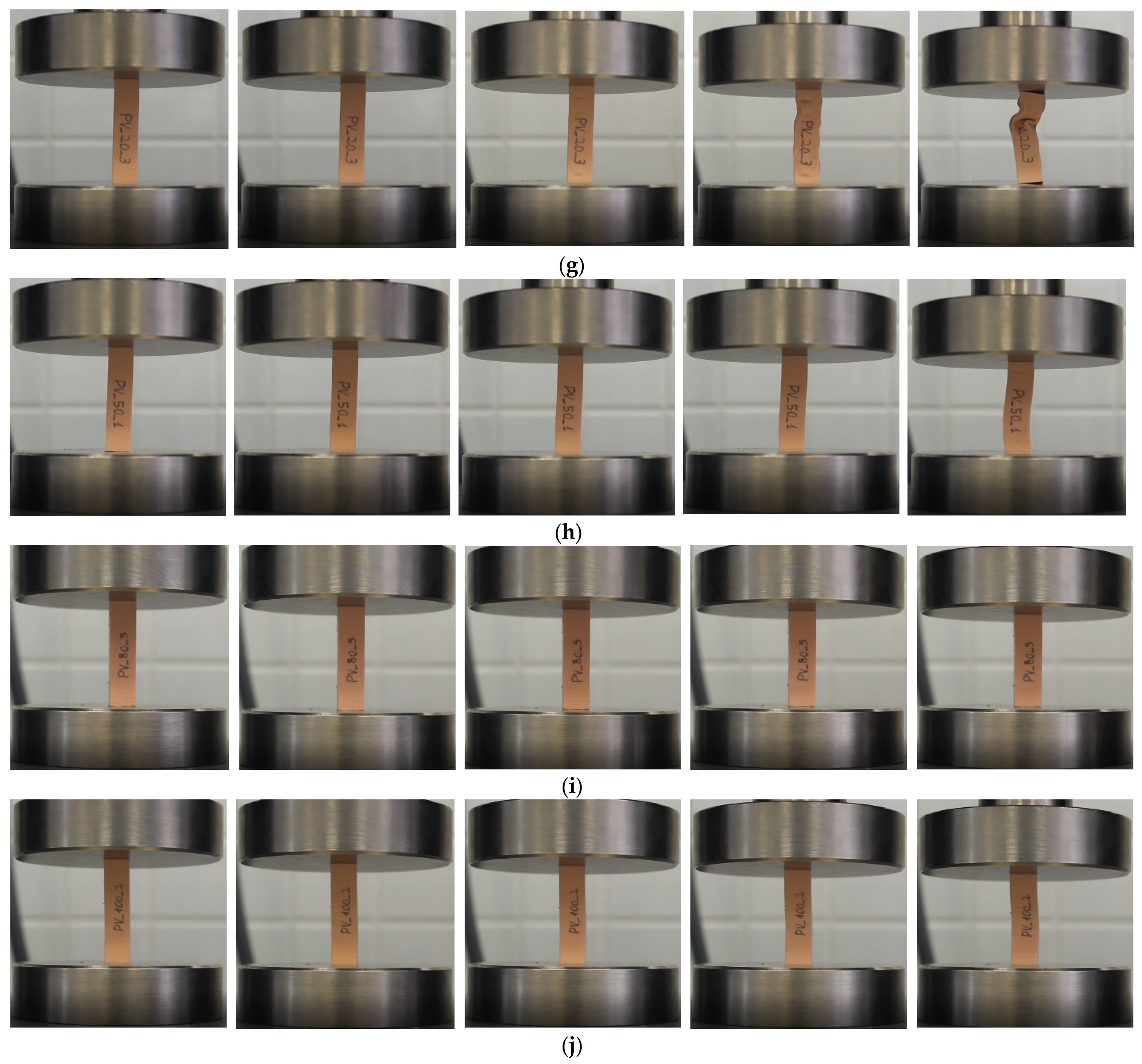 Polymers 13 02519 g0a2b