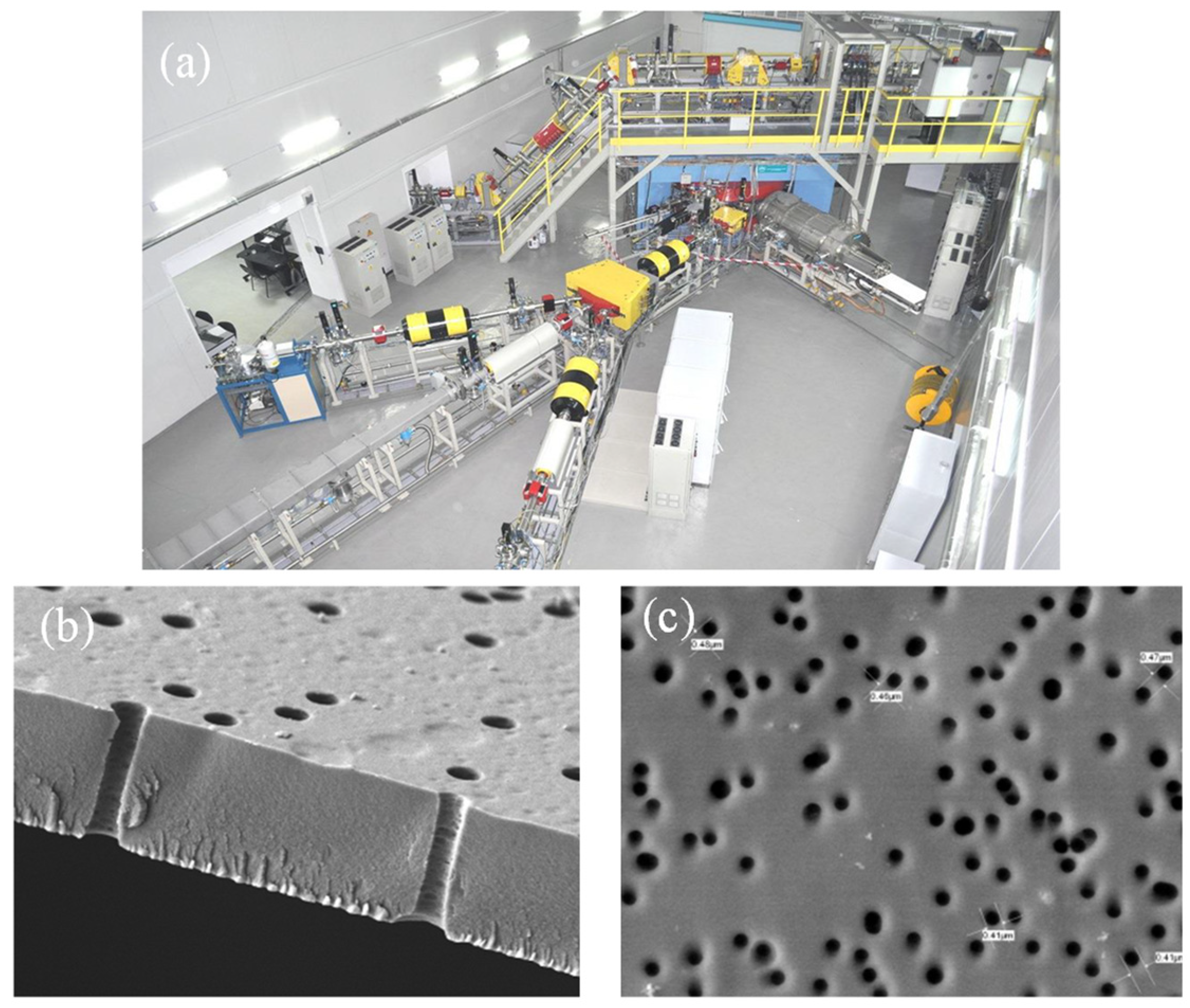 Polymers 13 02520 g003
