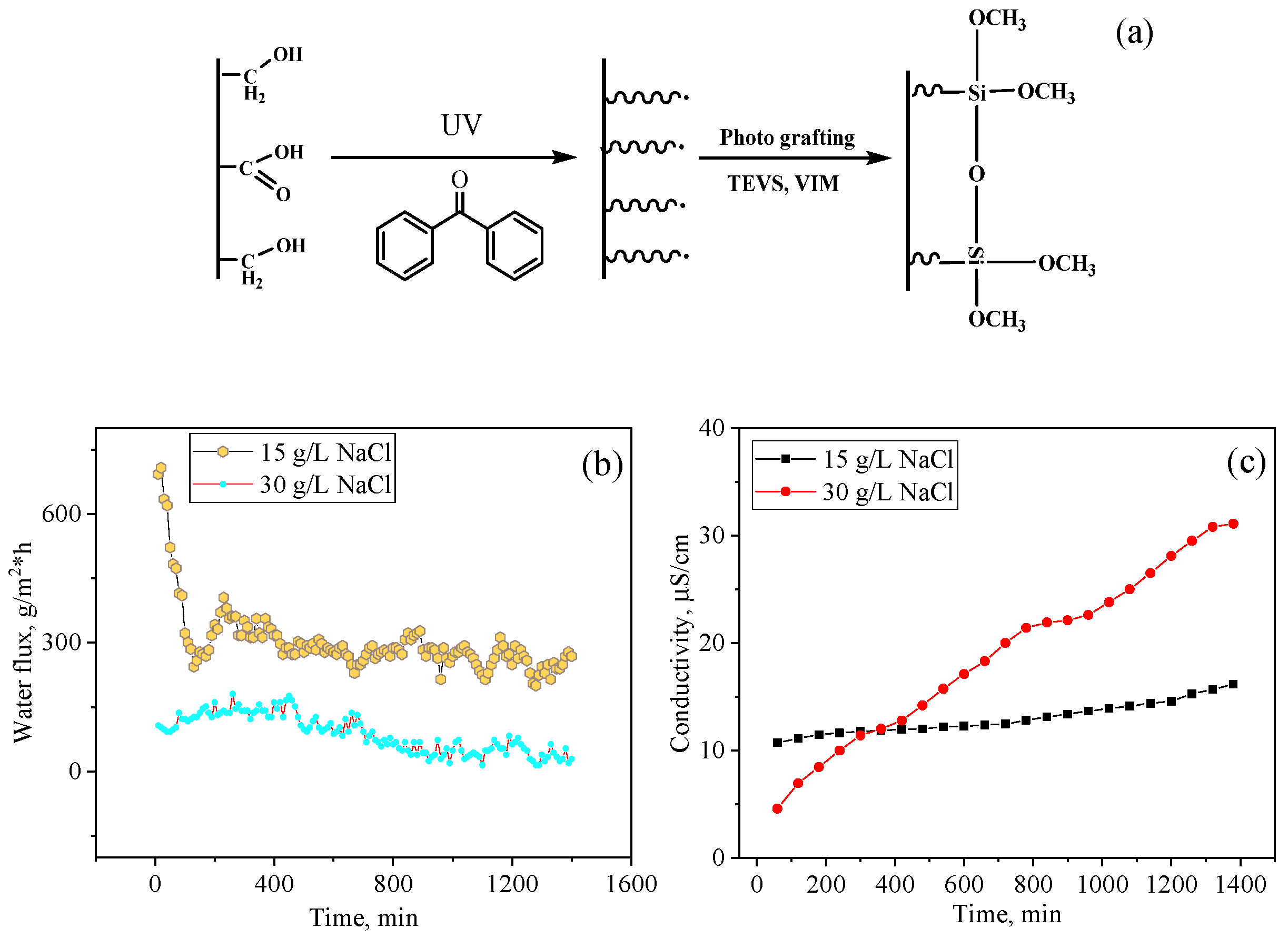 Polymers 13 02520 g005