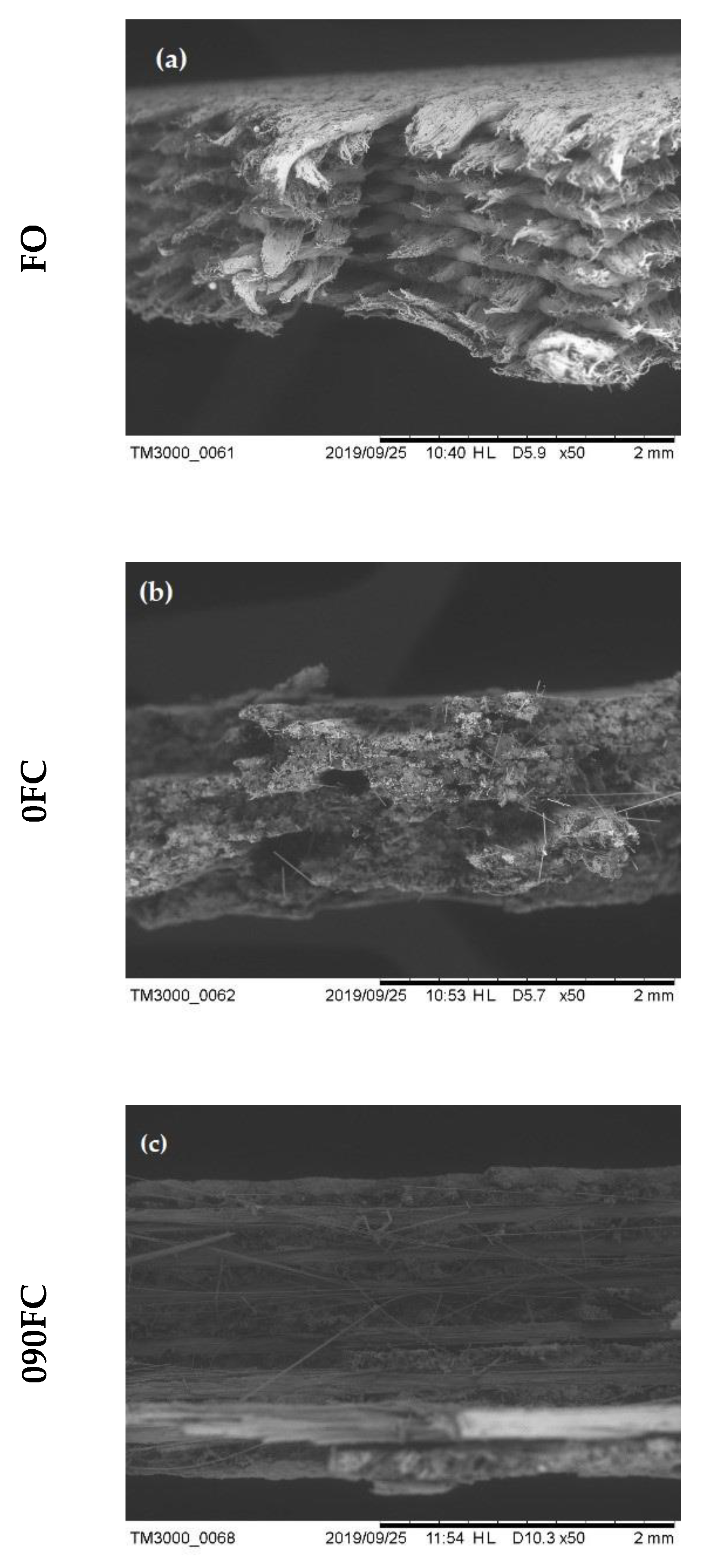 Polymers 13 02524 g009