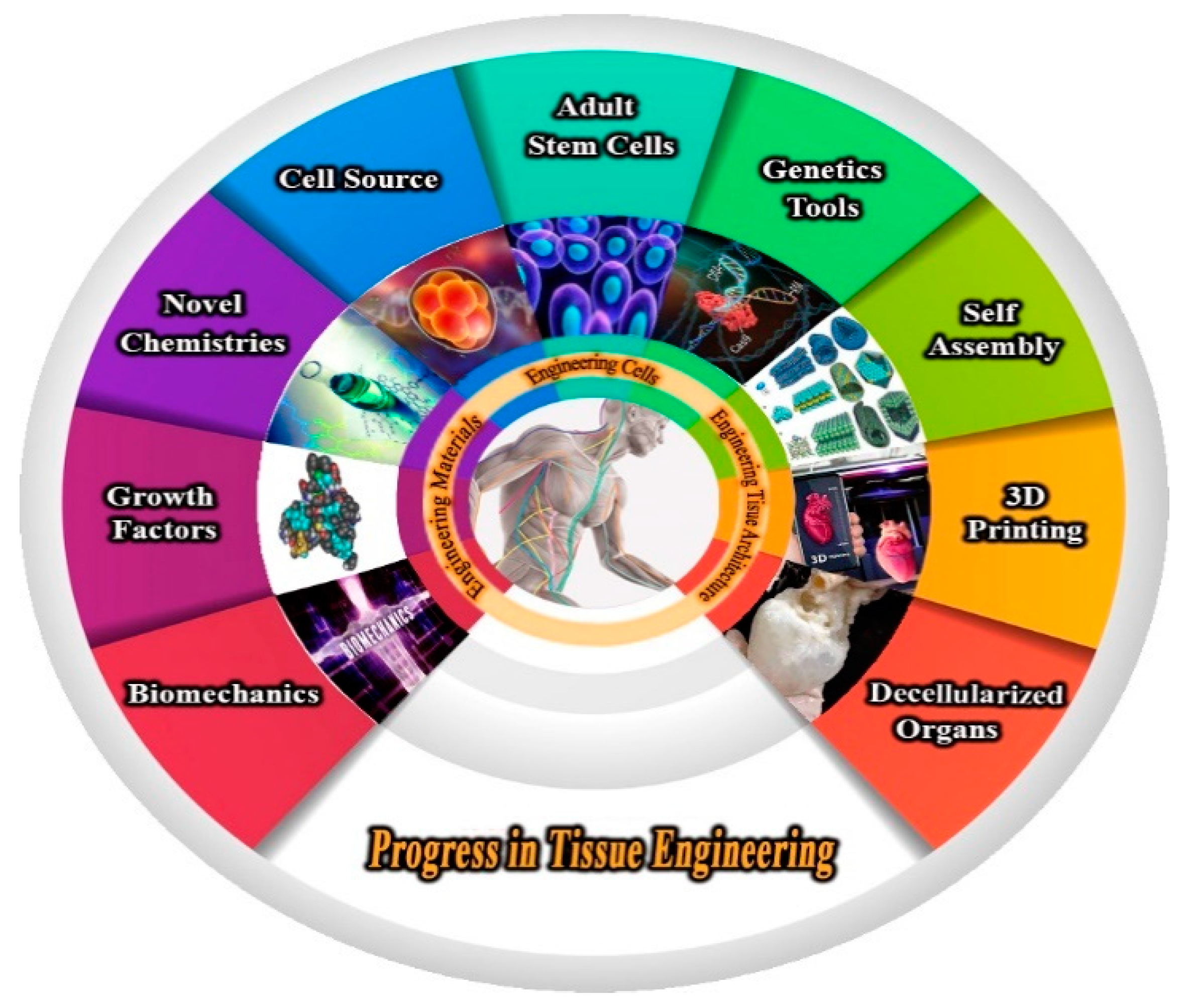 Polymers 13 02529 g001