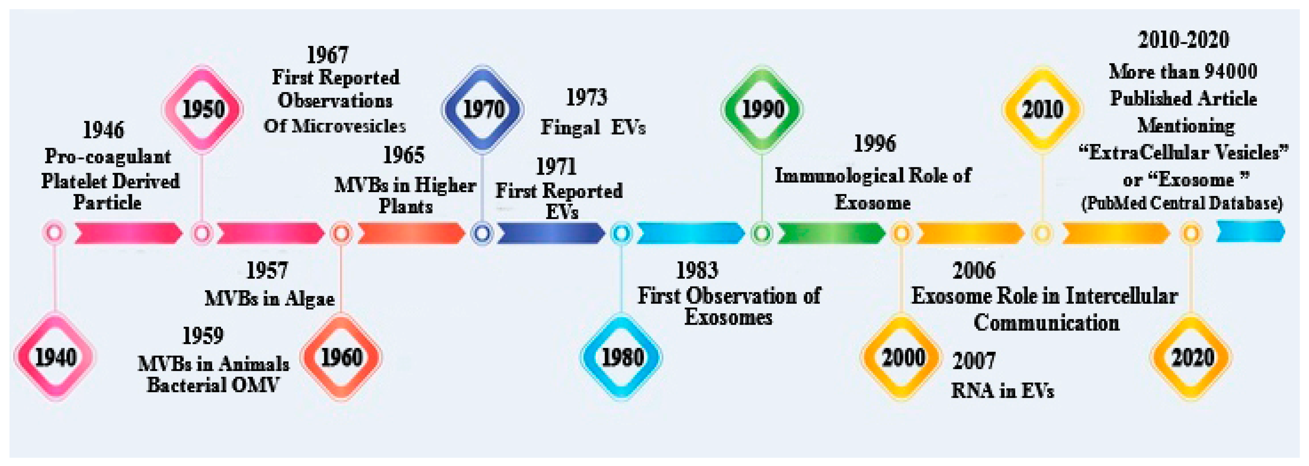 Polymers 13 02529 g003