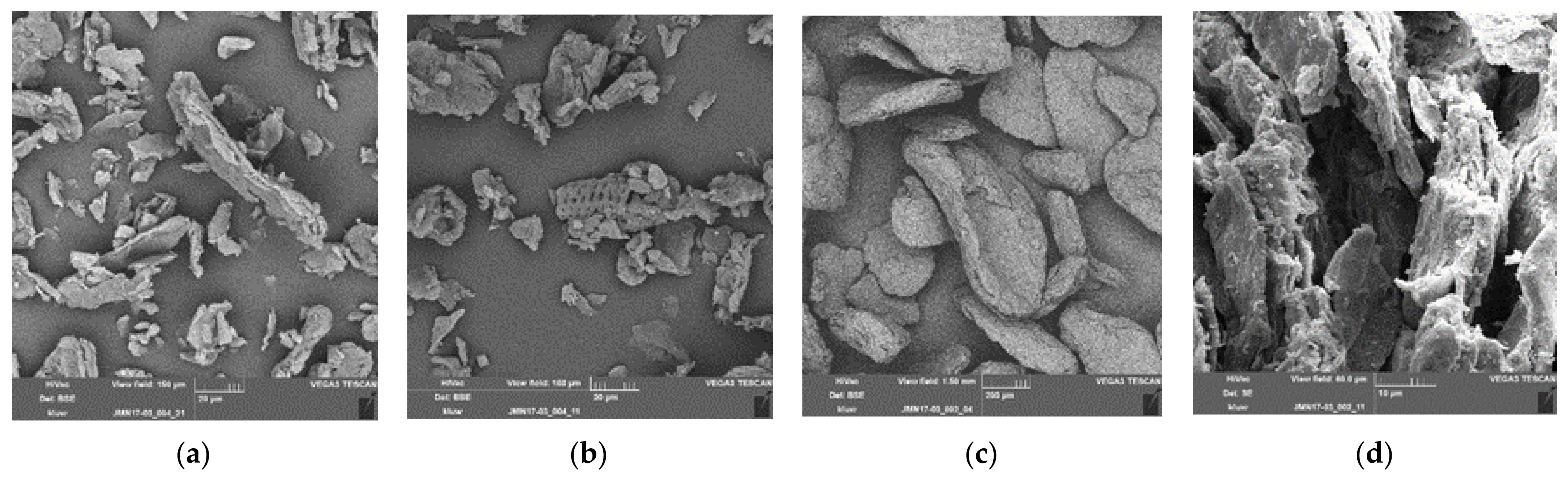 Polymers 13 02531 g003