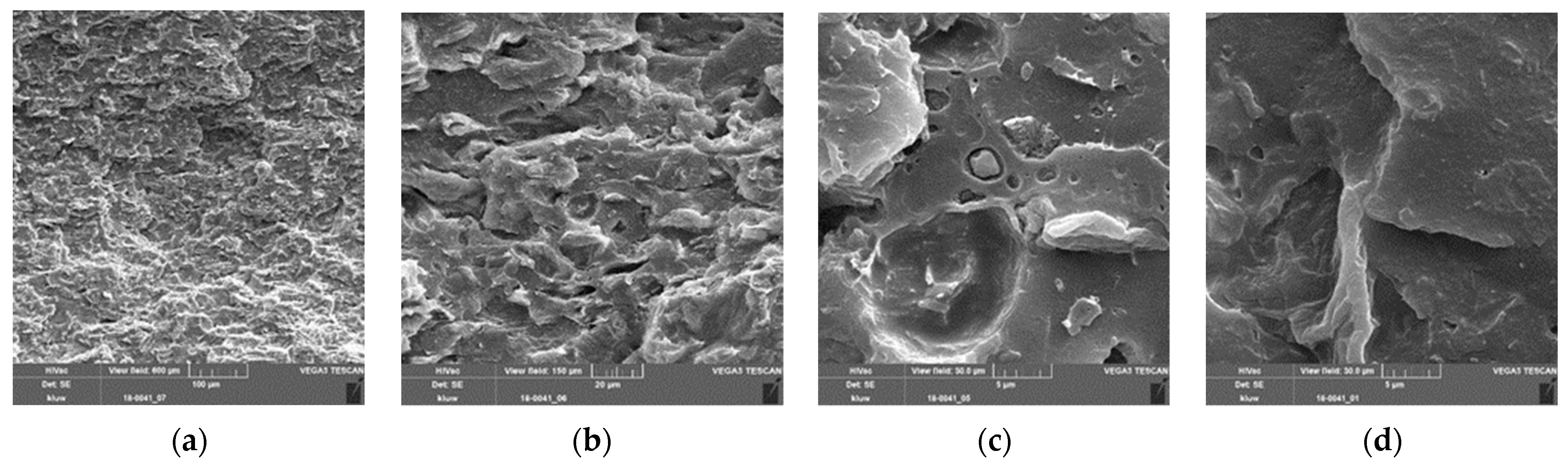 Polymers 13 02531 g006