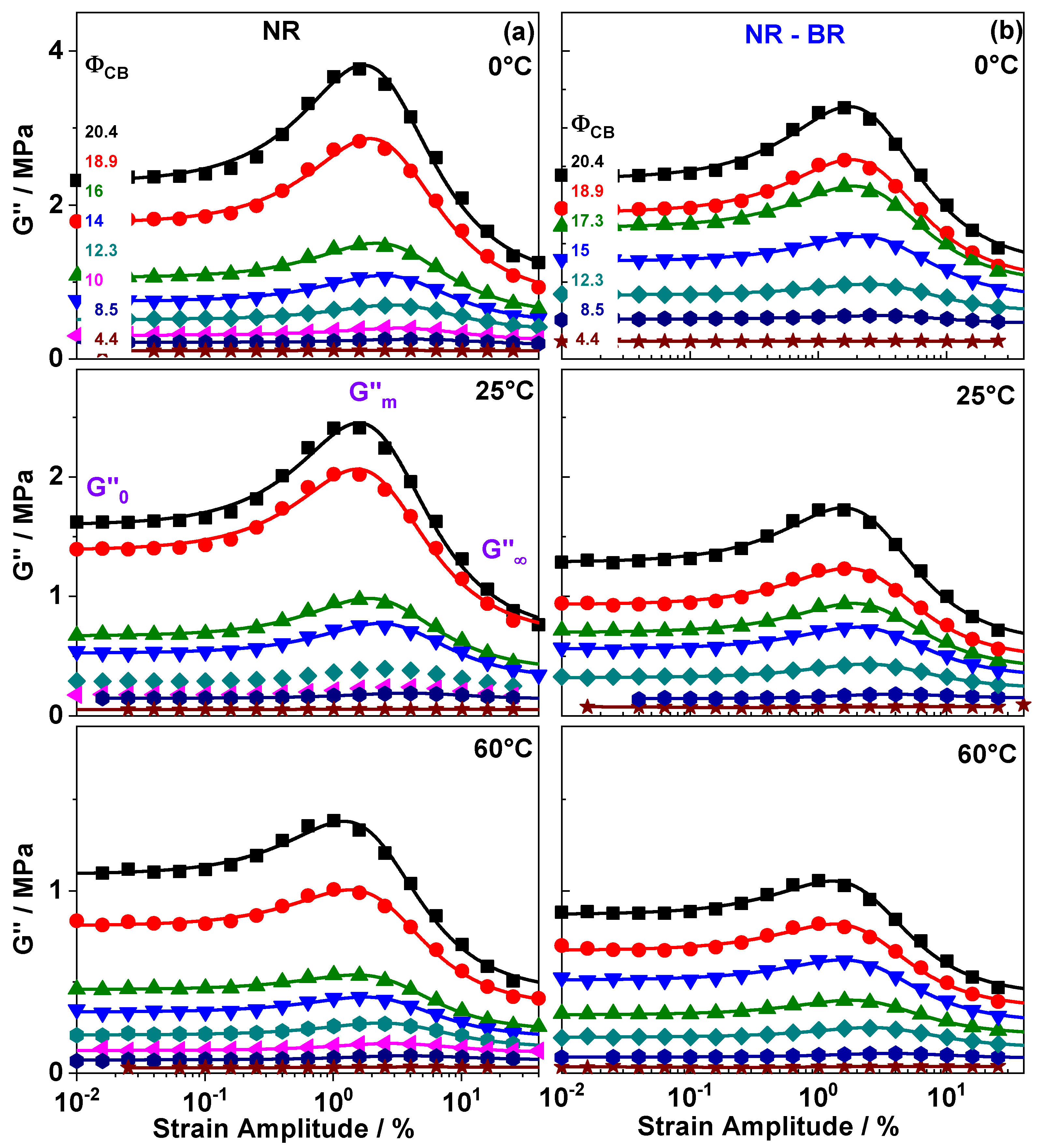 Polymers 13 02534 g003
