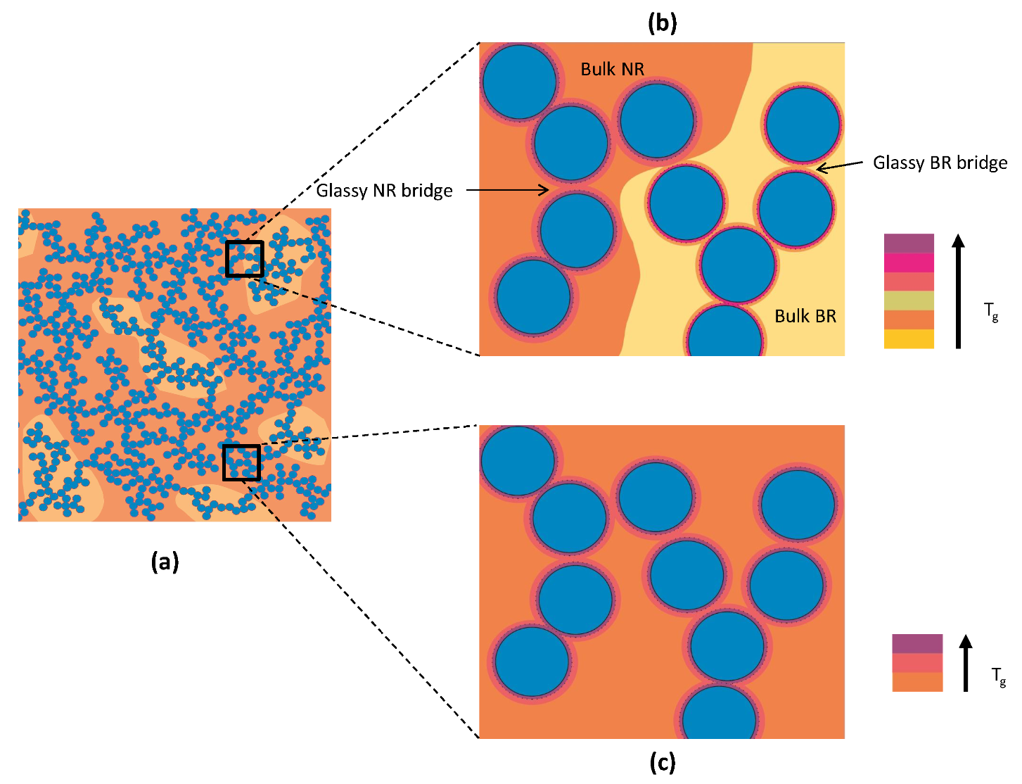 Polymers 13 02534 g008