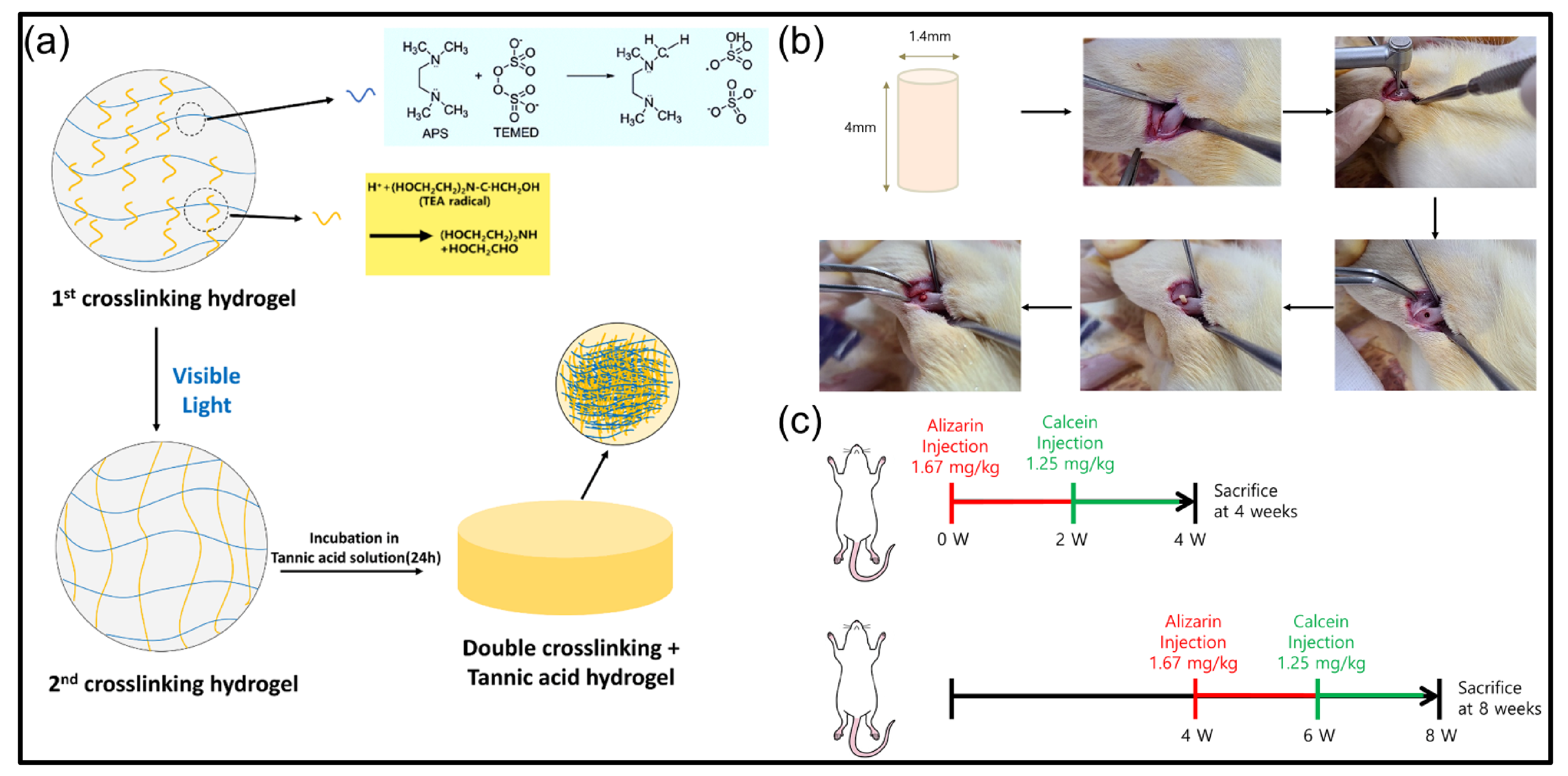 Polymers 13 02535 g001