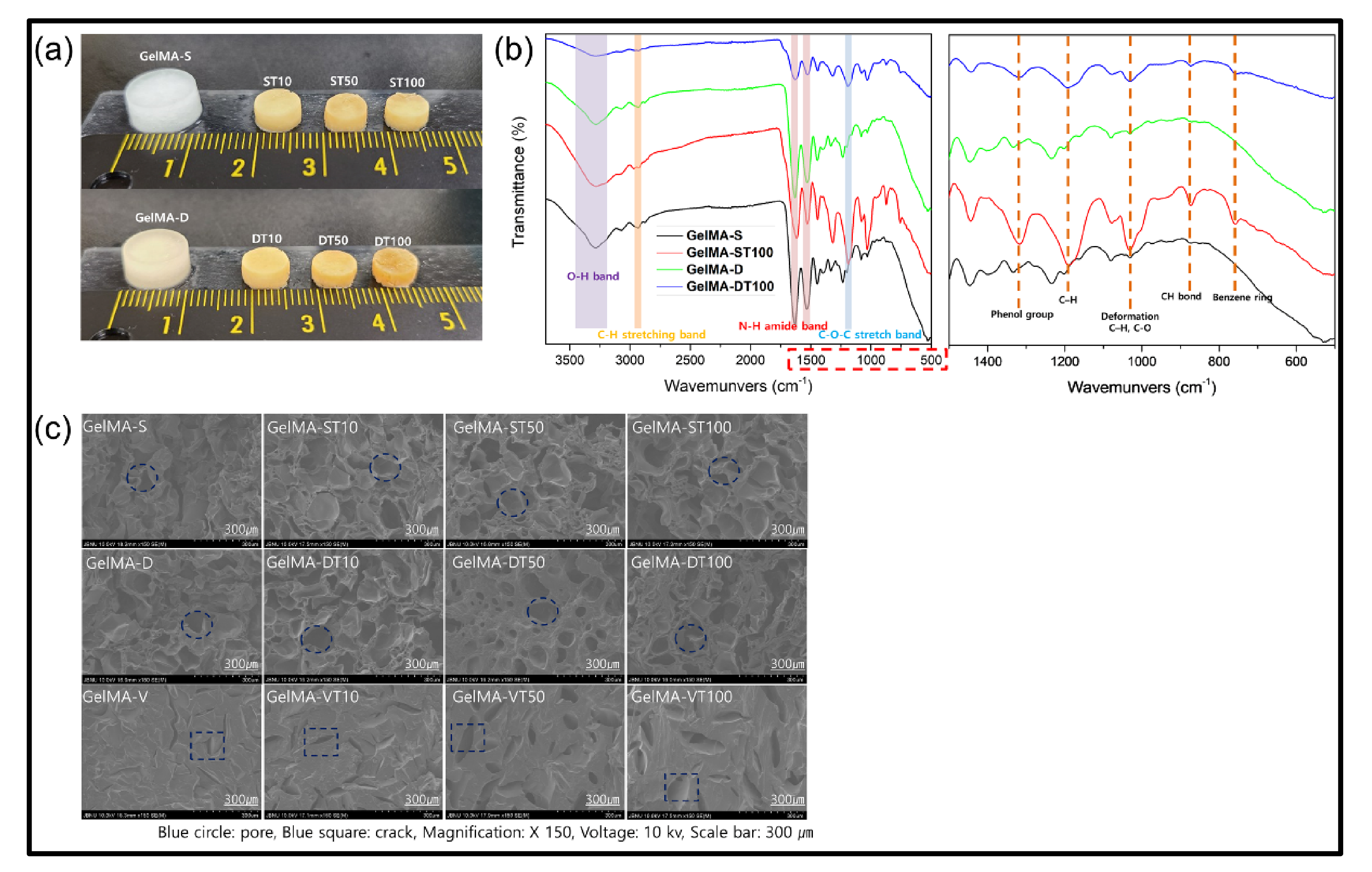 Polymers 13 02535 g002
