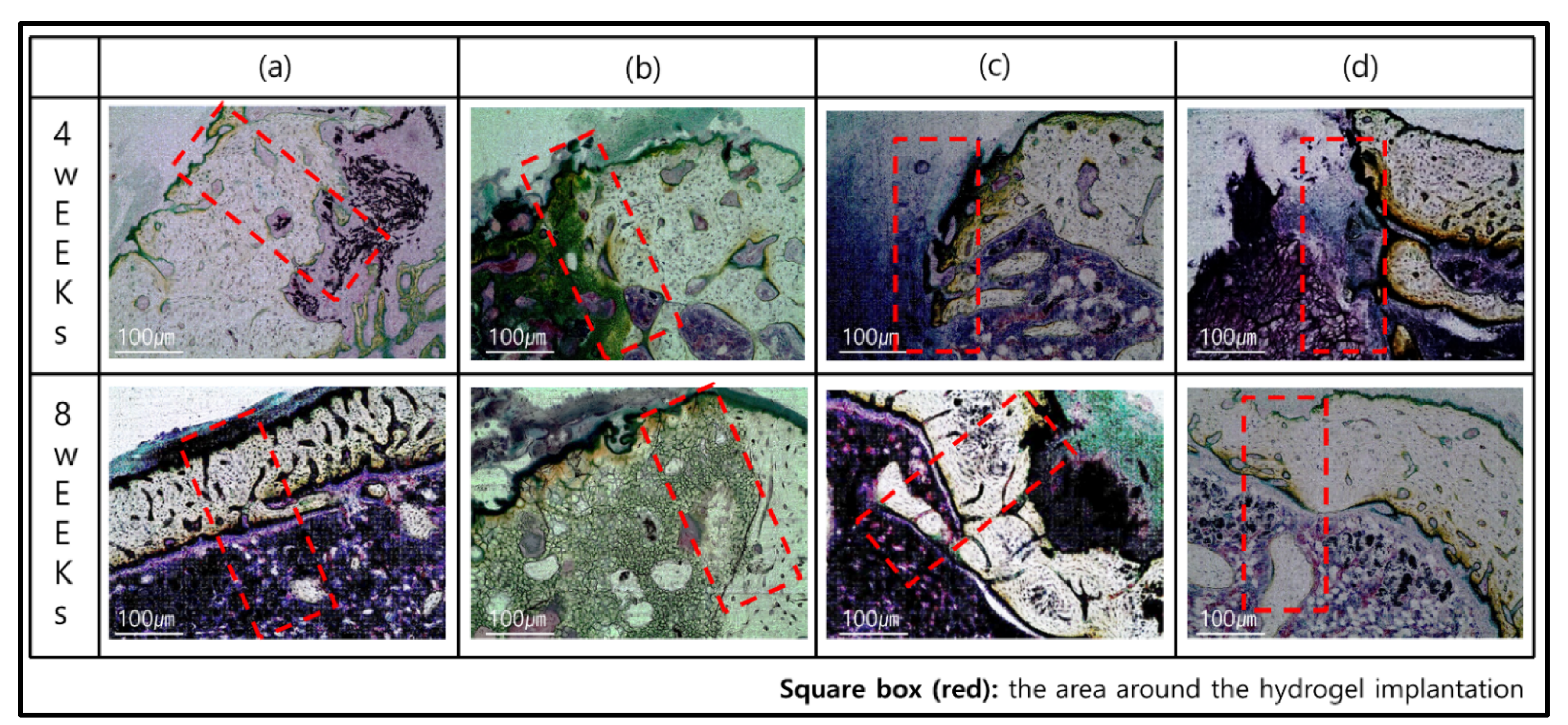 Polymers 13 02535 g006