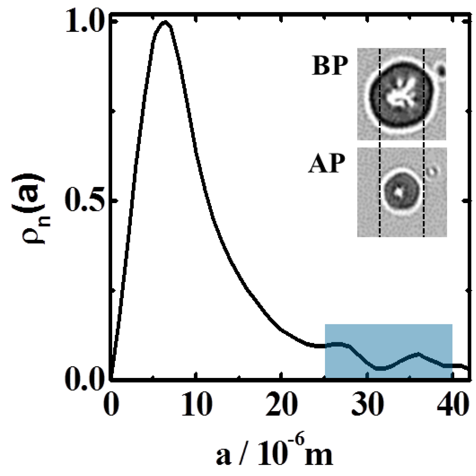 Polymers 13 02537 g001