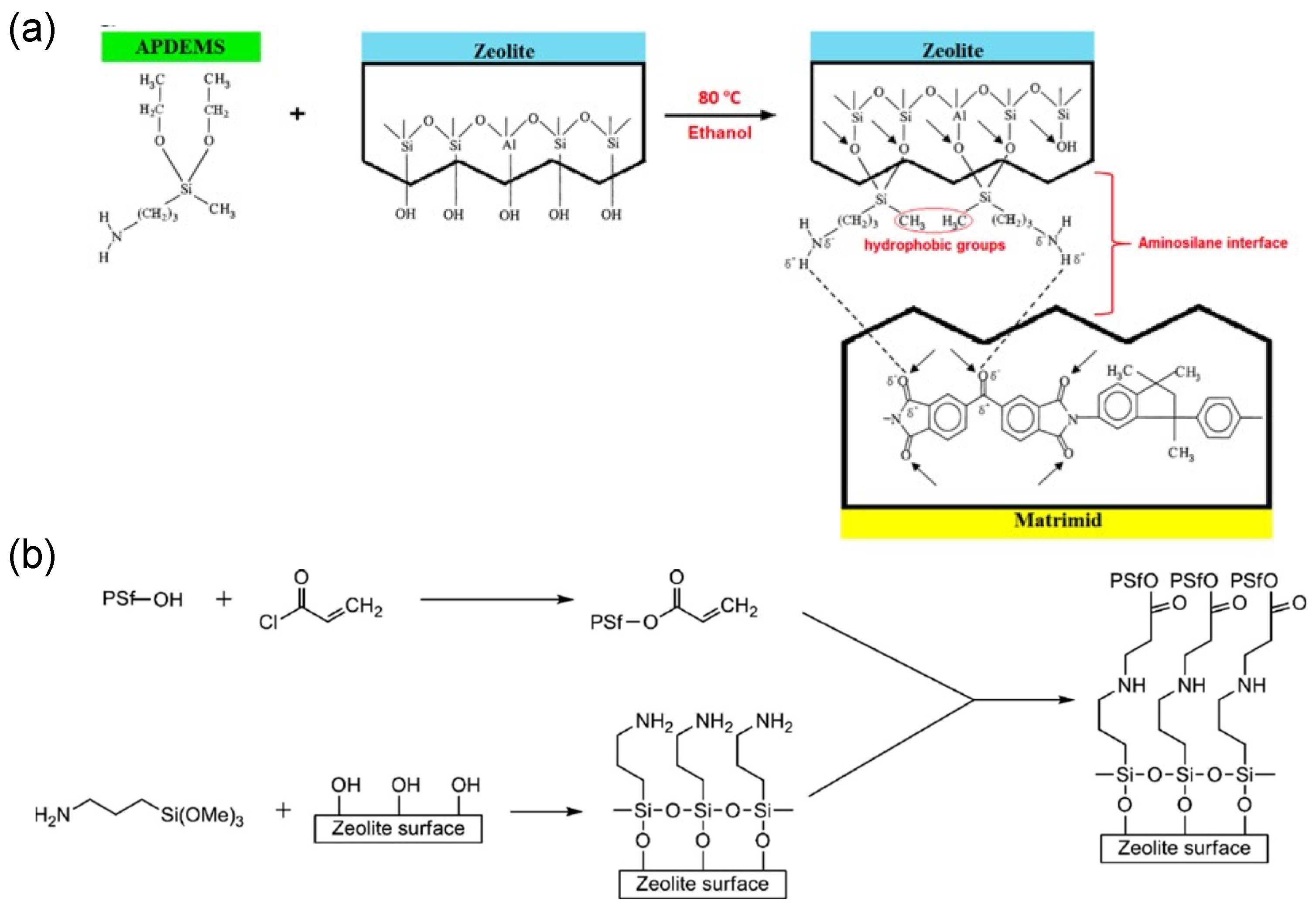 Polymers 13 02539 g004