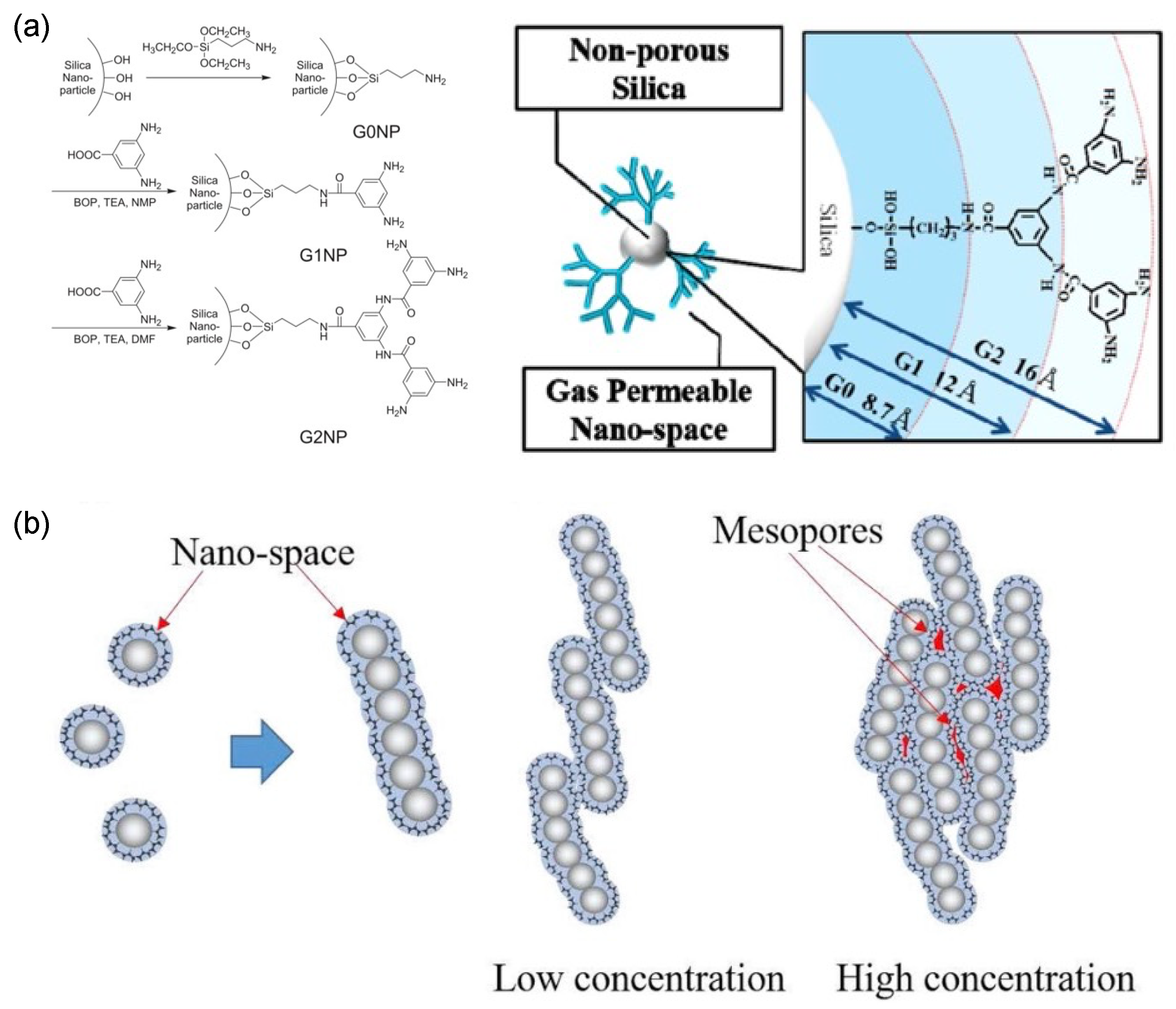 Polymers 13 02539 g011