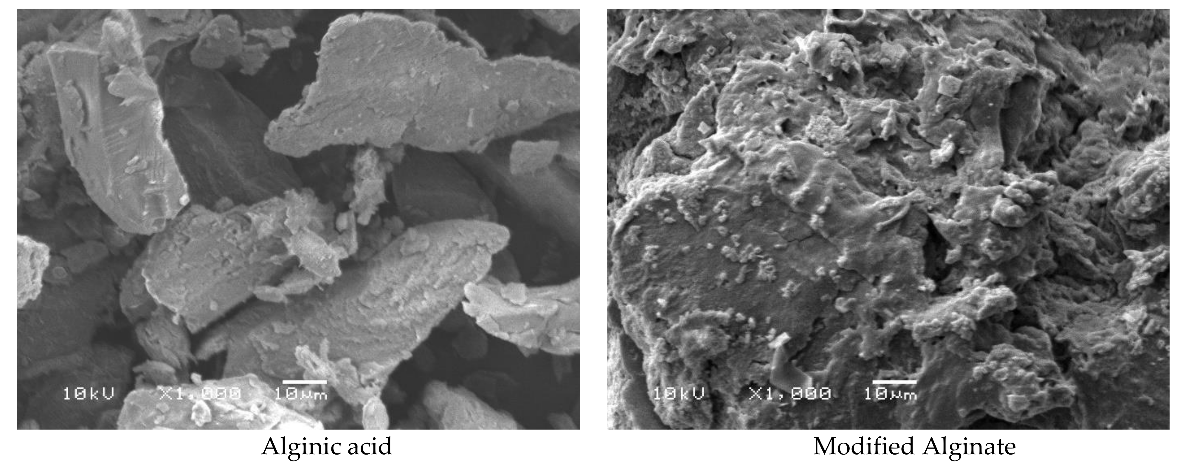 Polymers 13 02575 g005