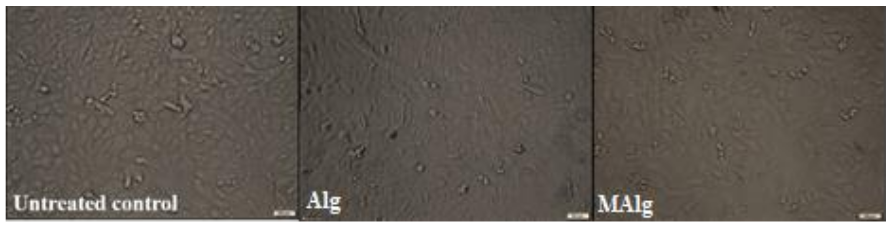 Polymers 13 02575 g010