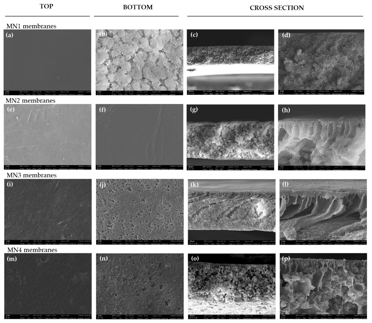 Polymers 13 02579 g002