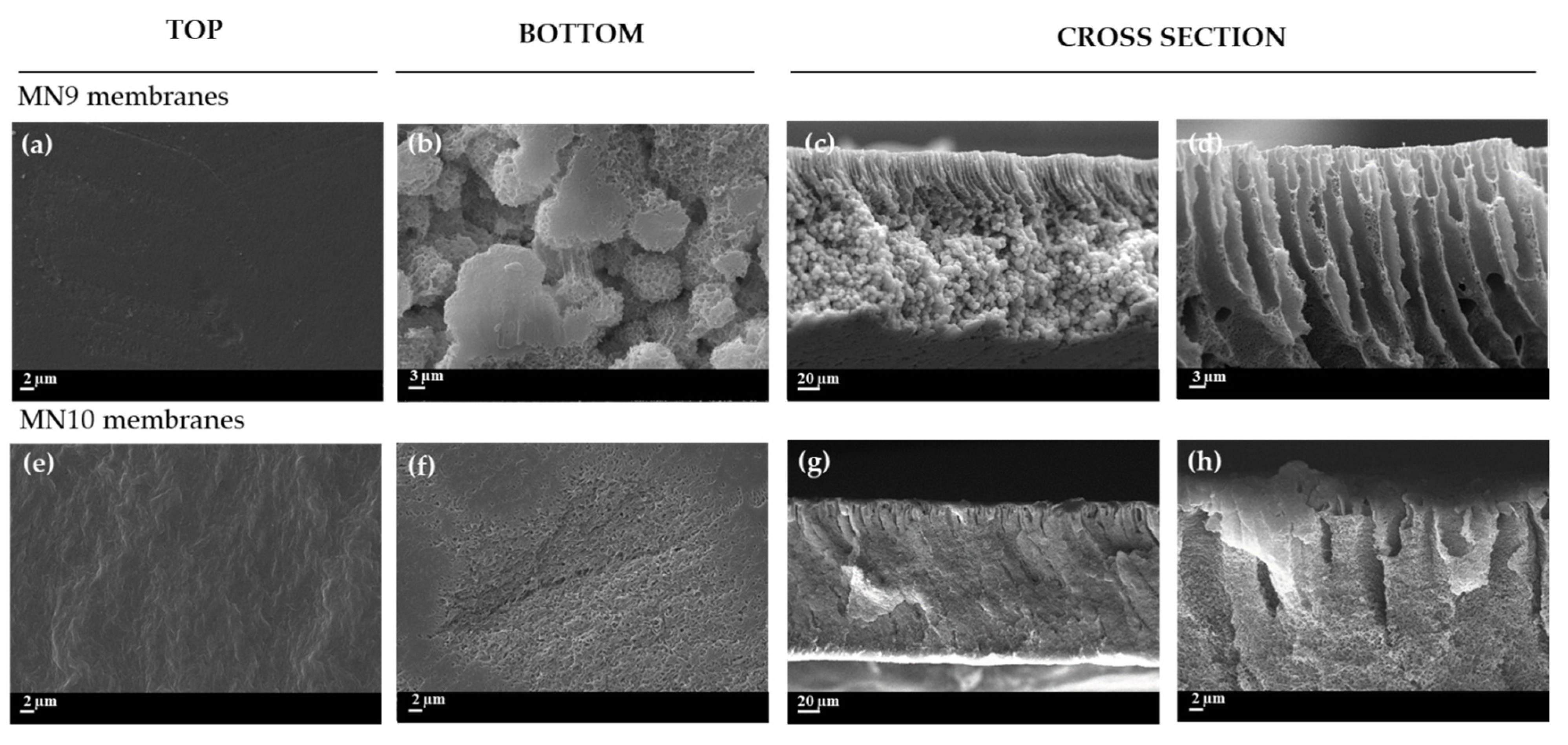 Polymers 13 02579 g004