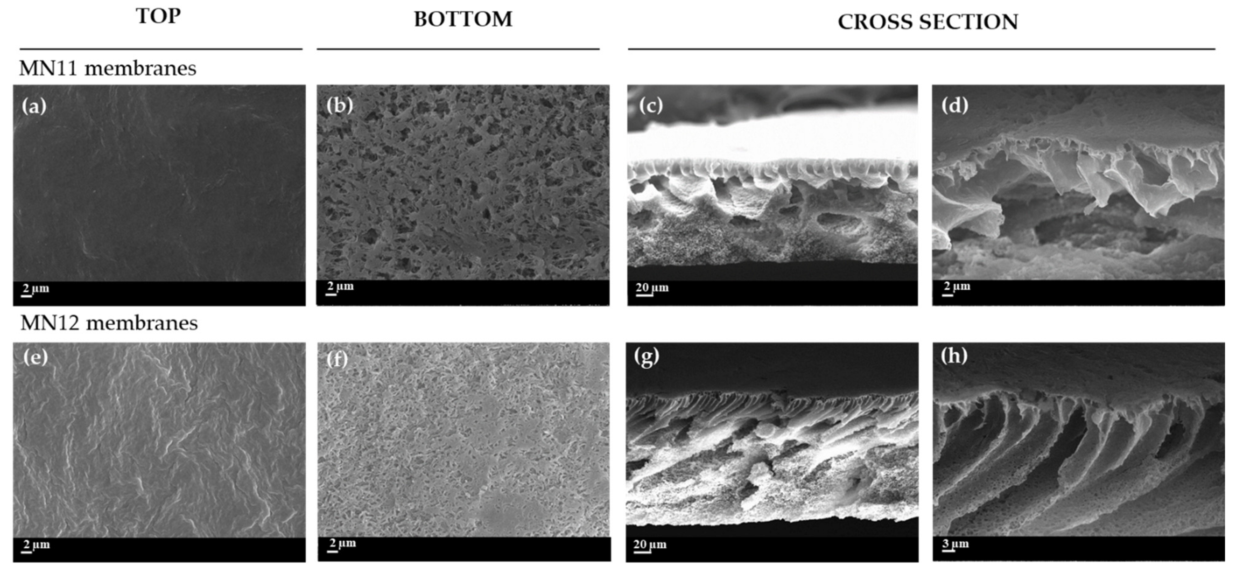 Polymers 13 02579 g005