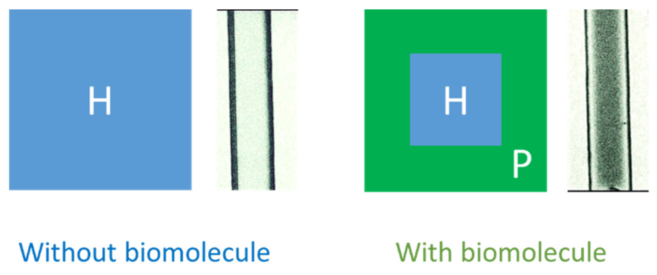 Polymers 13 02587 g002