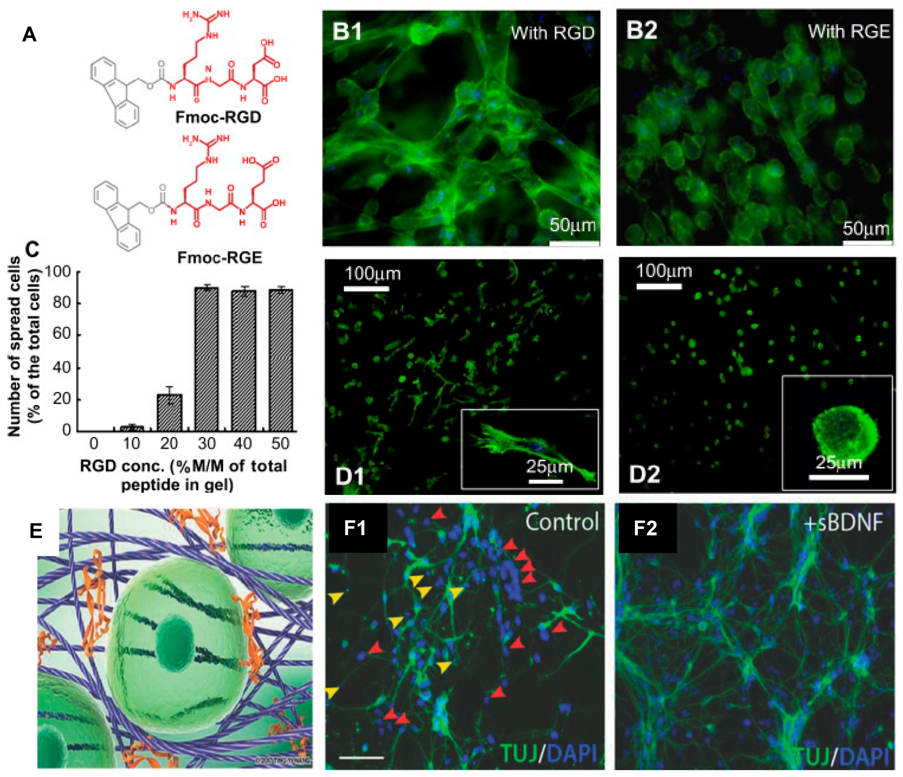Polymers 13 02590 g003