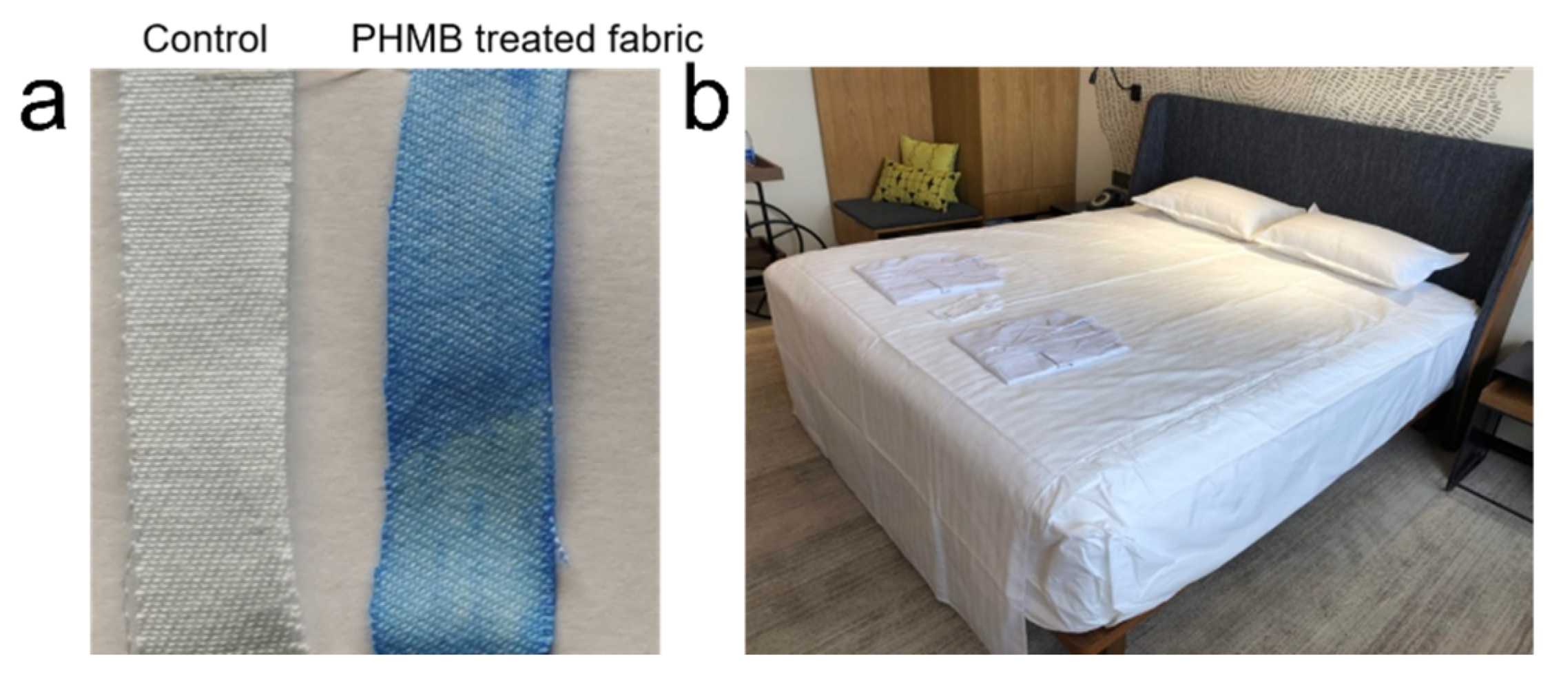 Polymers 13 02601 g001