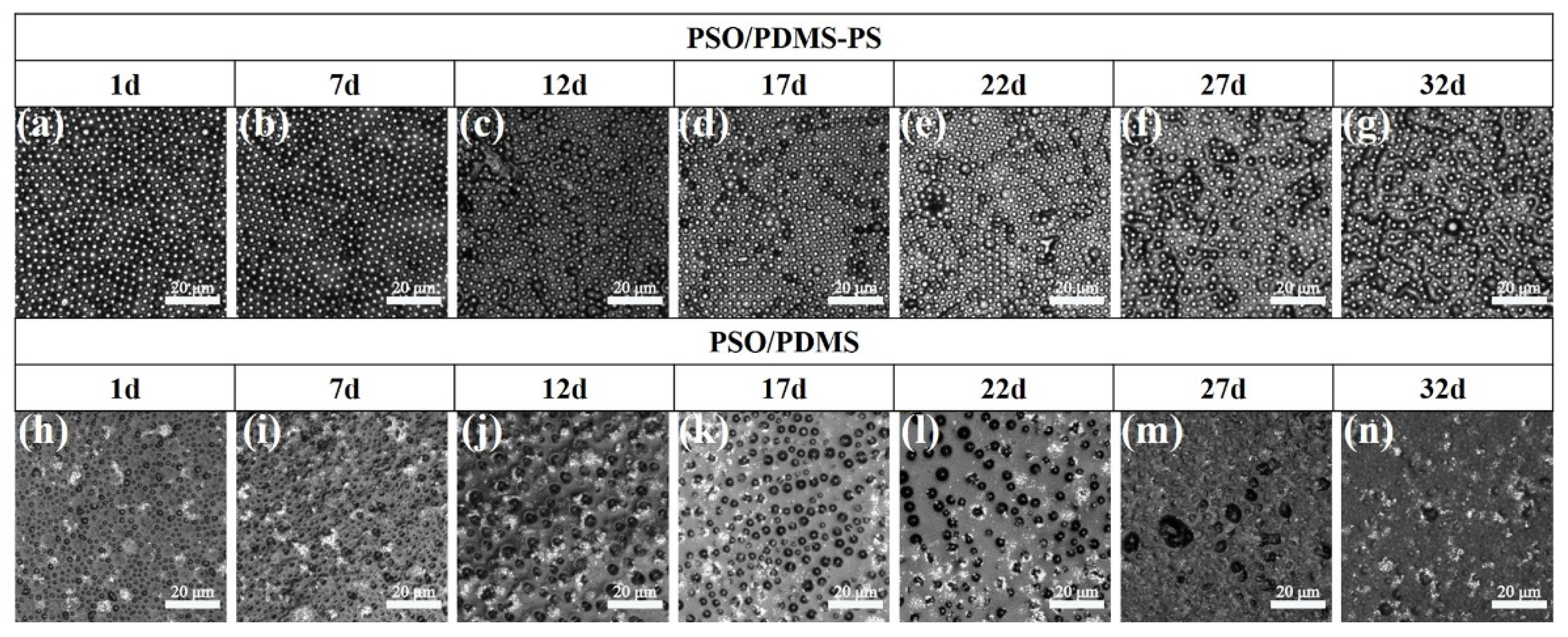 Polymers 13 02602 g004