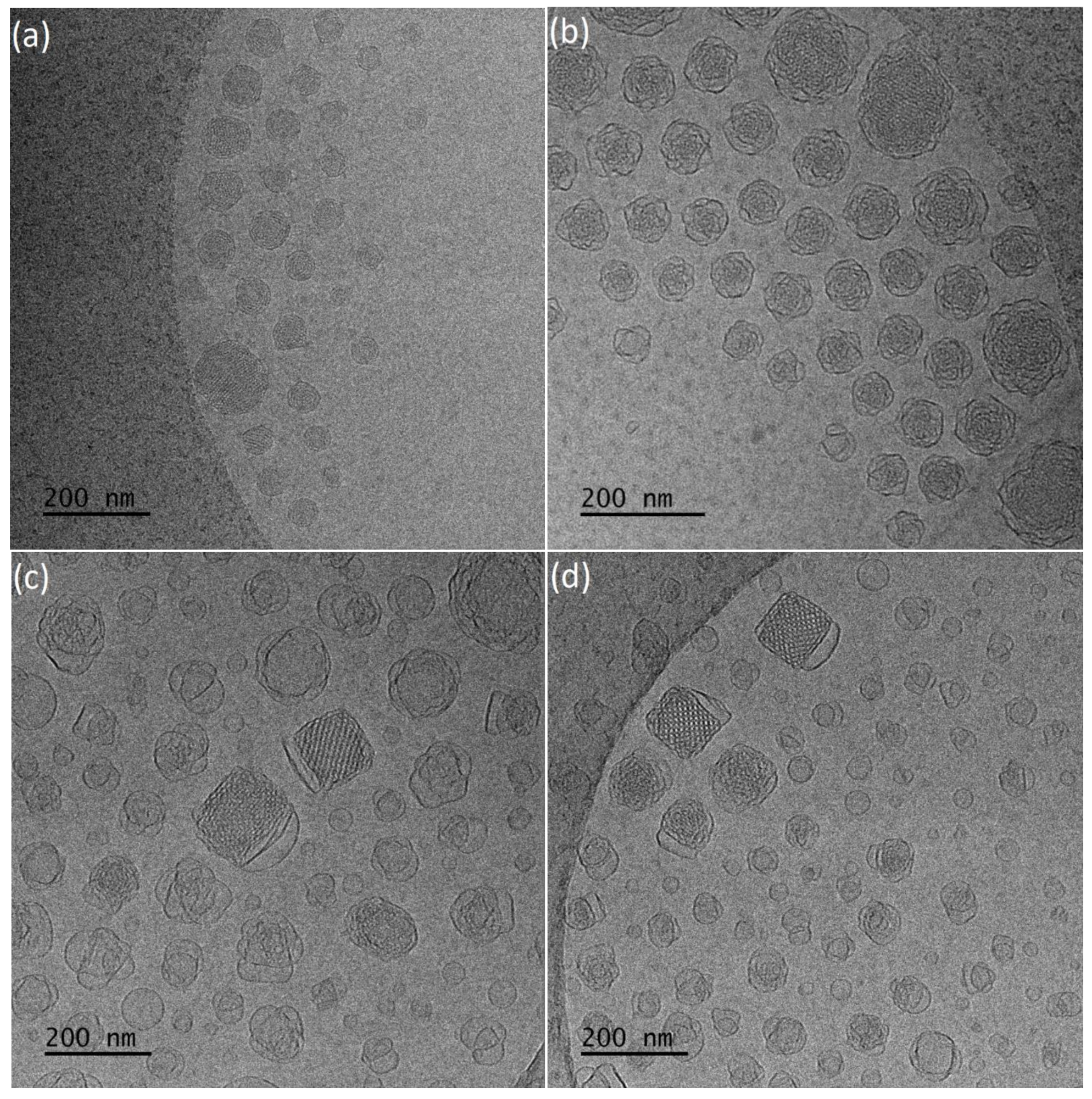 Polymers 13 02607 g002 Polymers 13 02607 g002