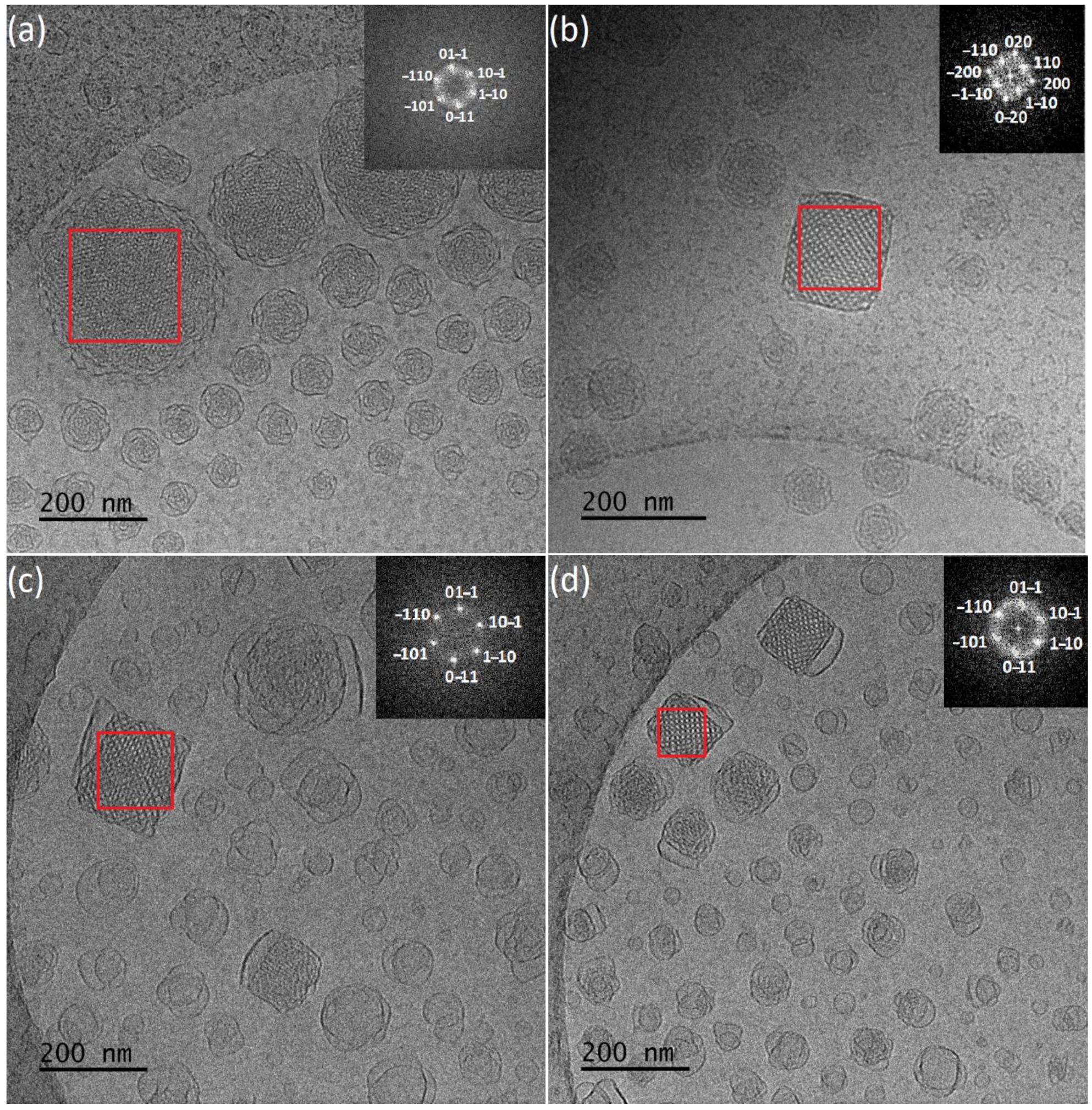 Polymers 13 02607 g003 Polymers 13 02607 g003