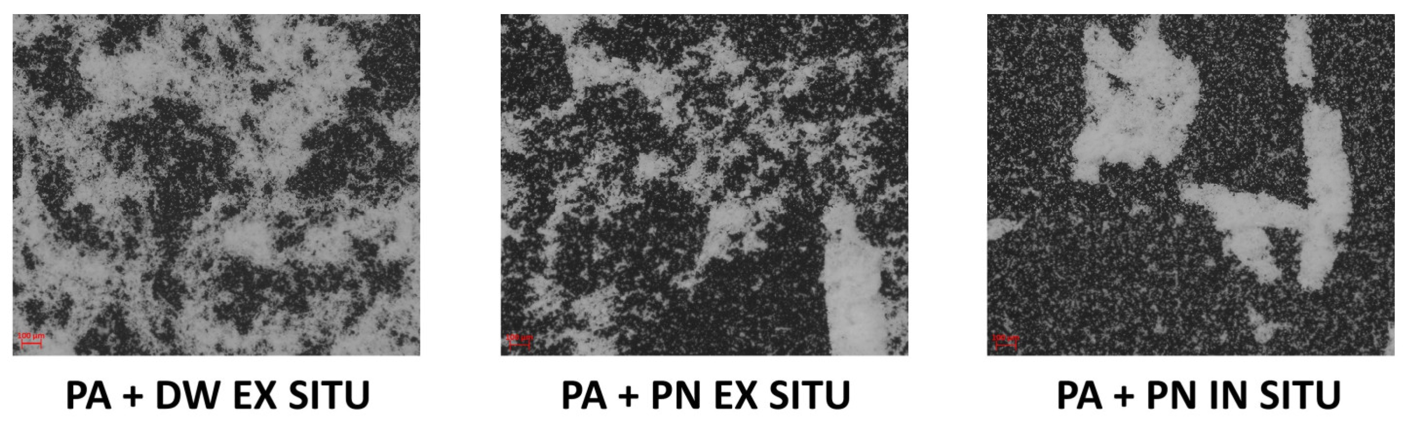 Polymers 13 02609 g005