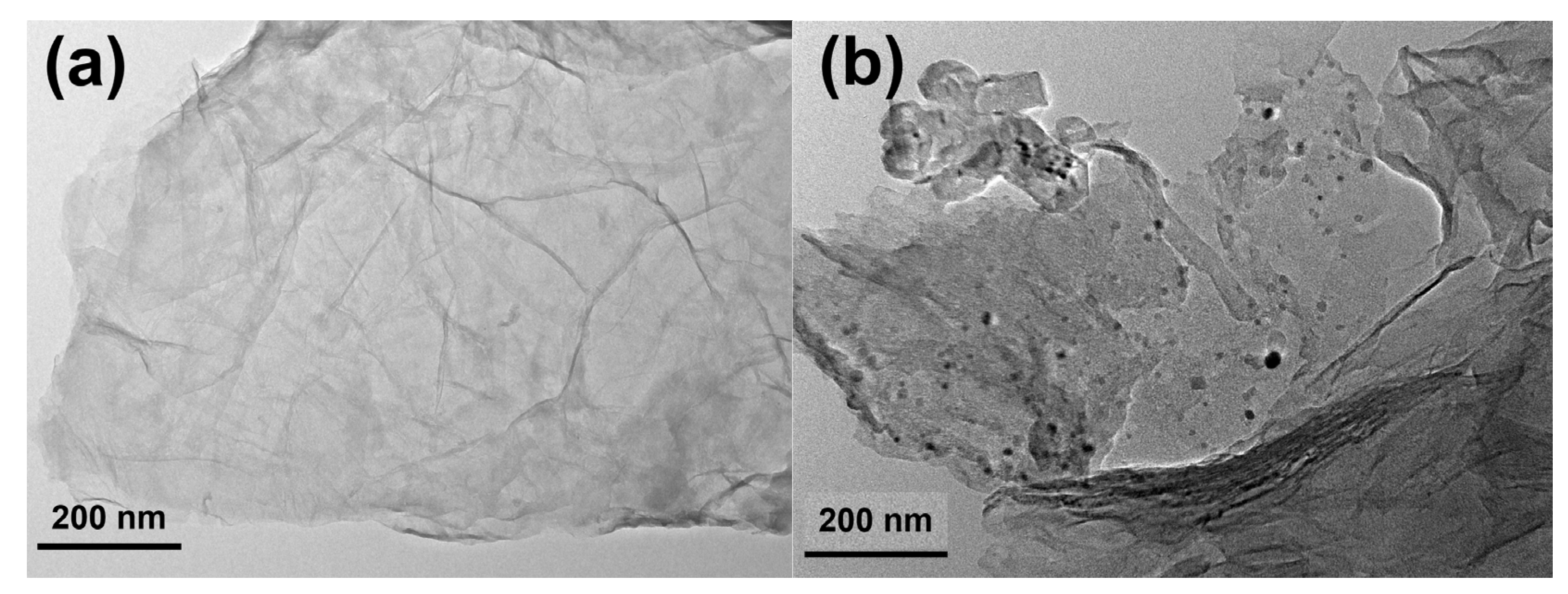 Polymers 13 02614 g005