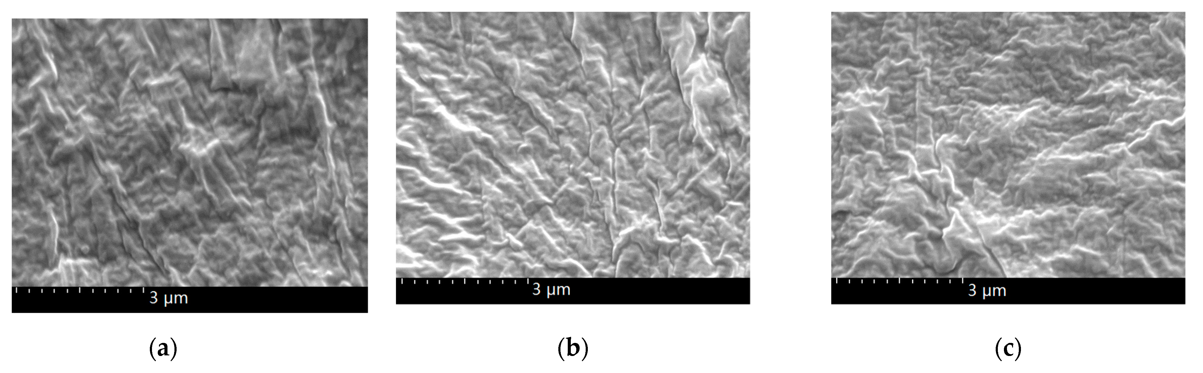 Polymers 13 02622 g002