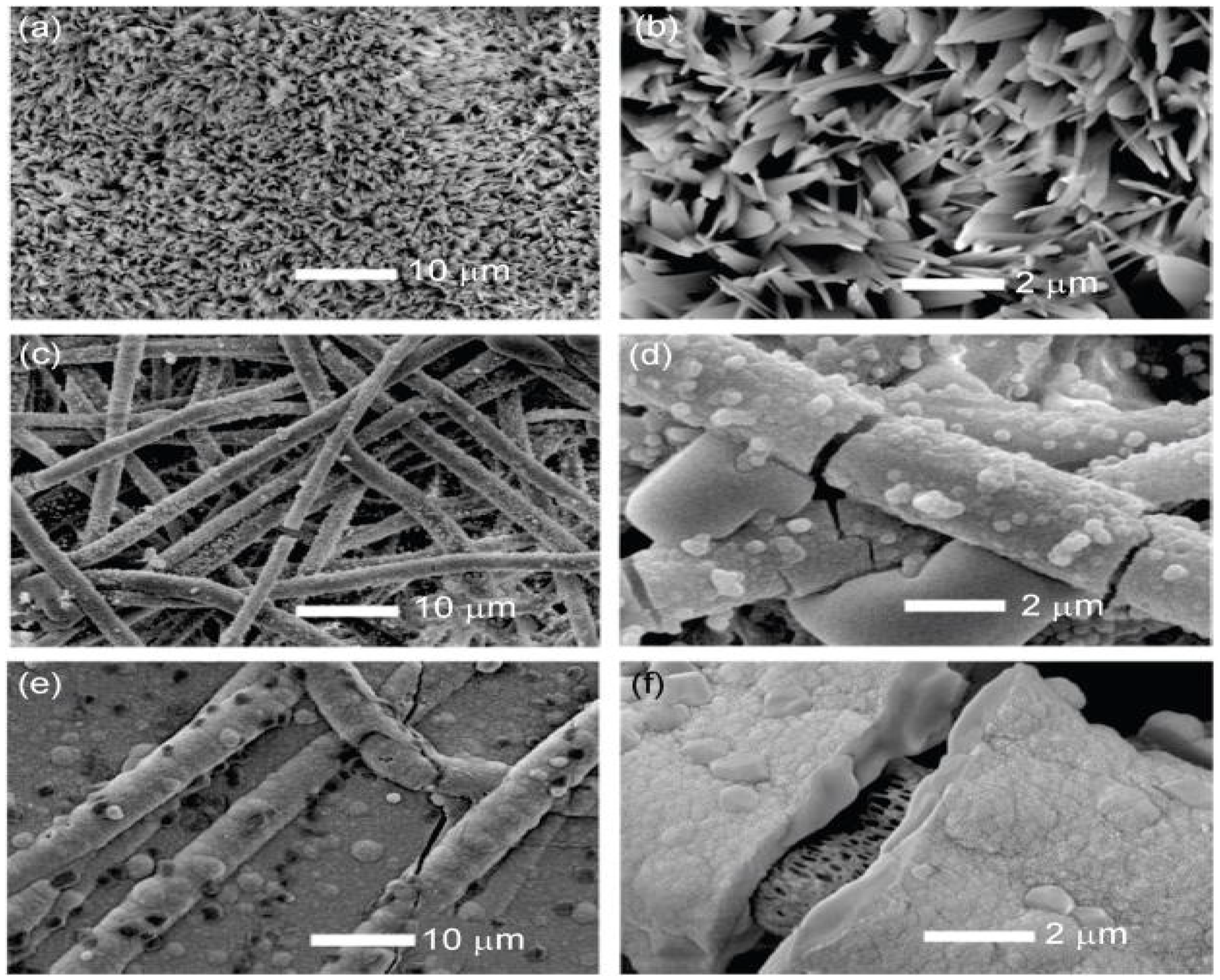 Polymers 13 02623 g002