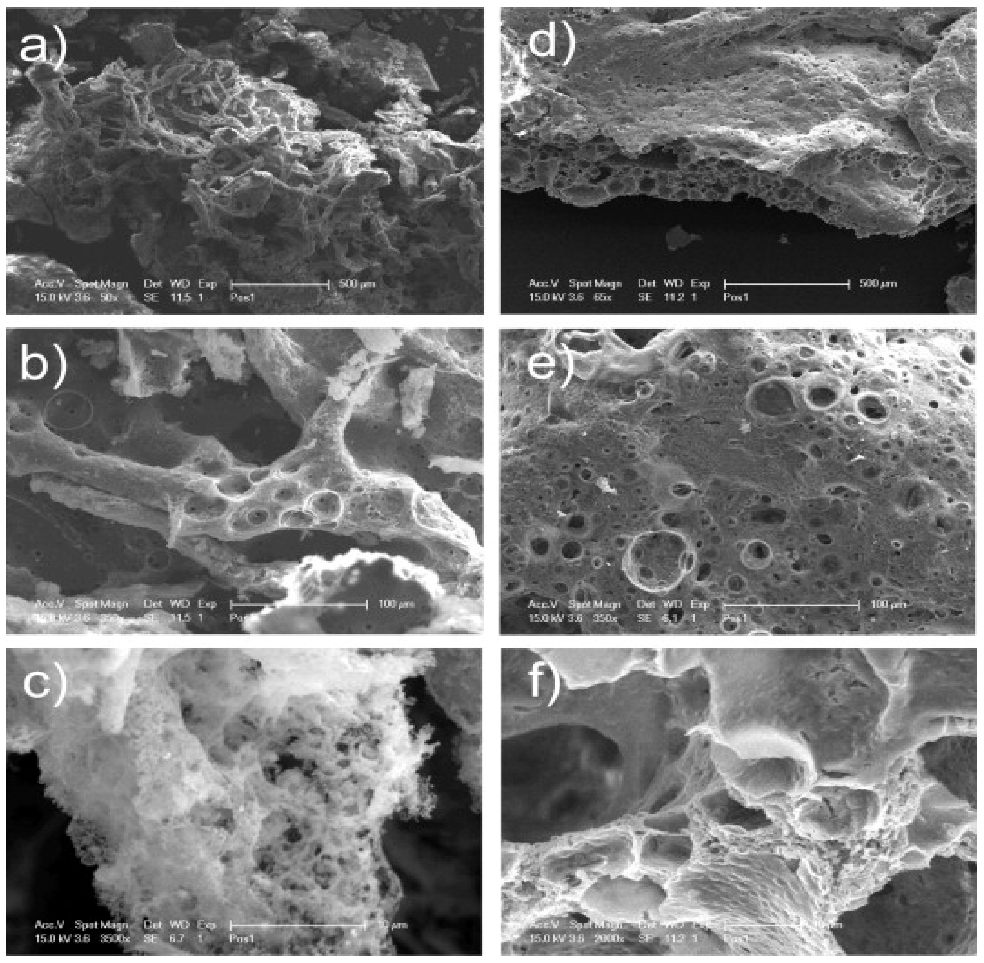 Polymers 13 02623 g011