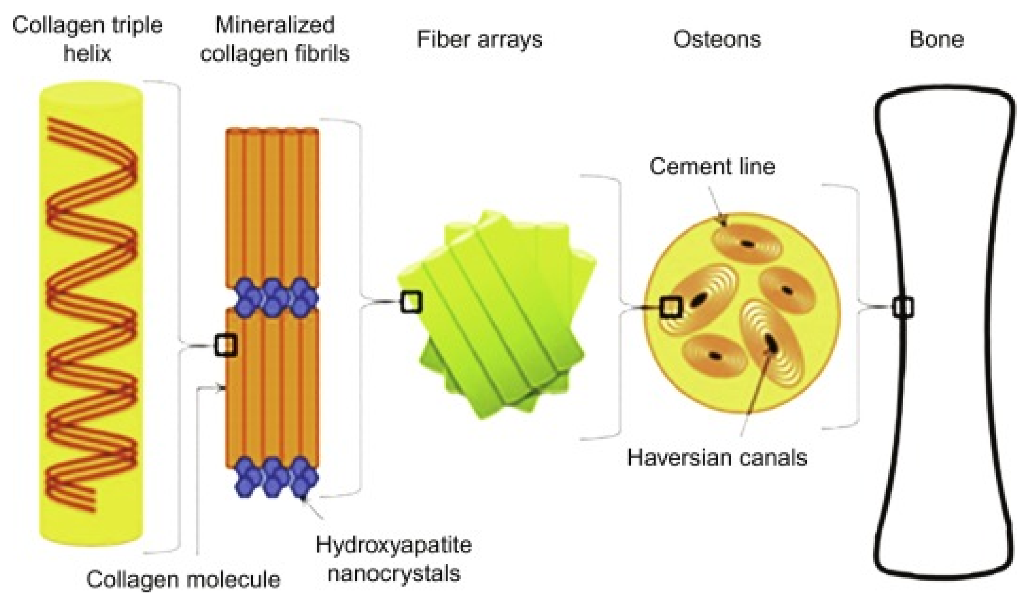 Polymers 13 02623 g025