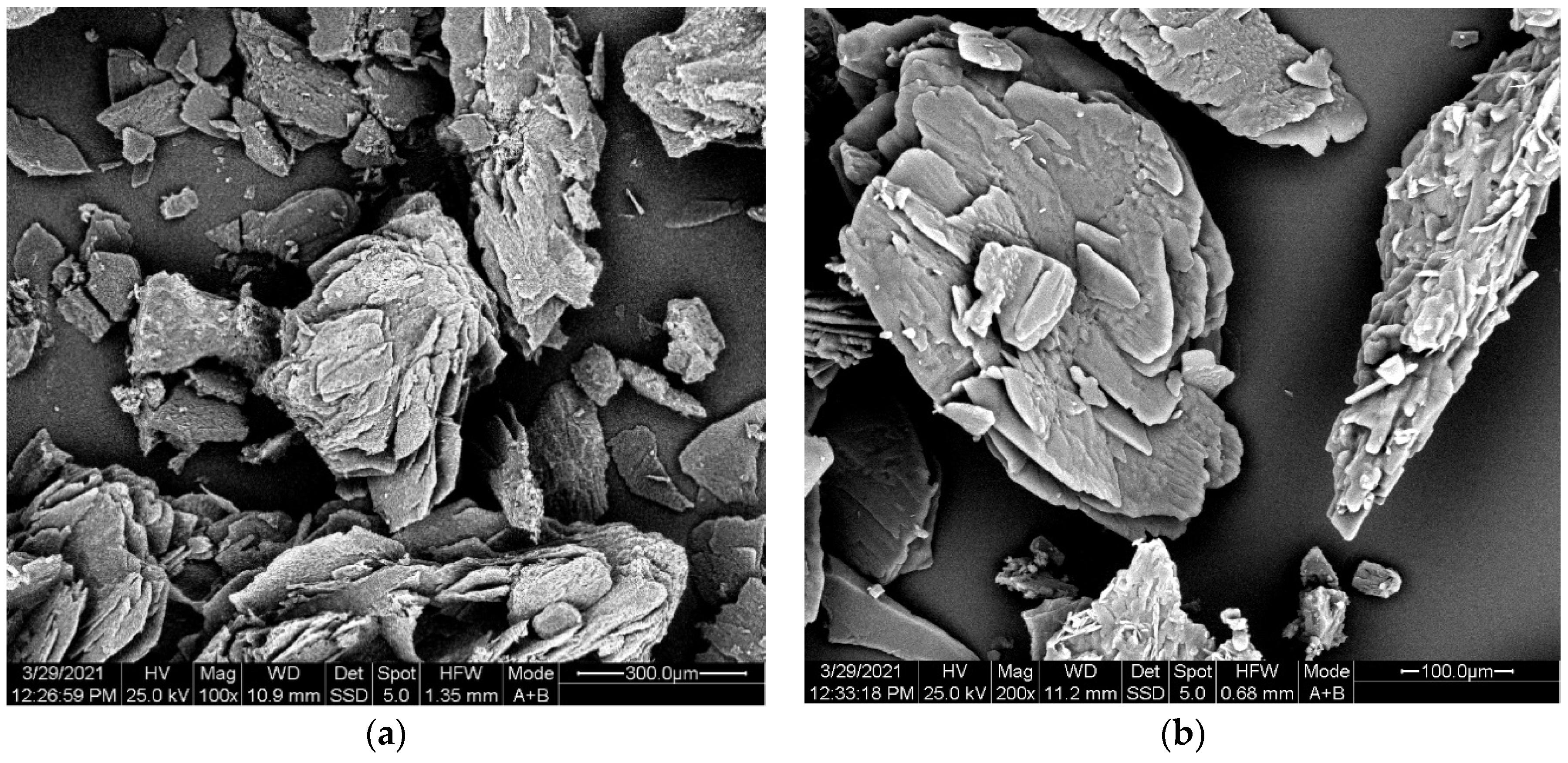 Polymers 13 02625 g004
