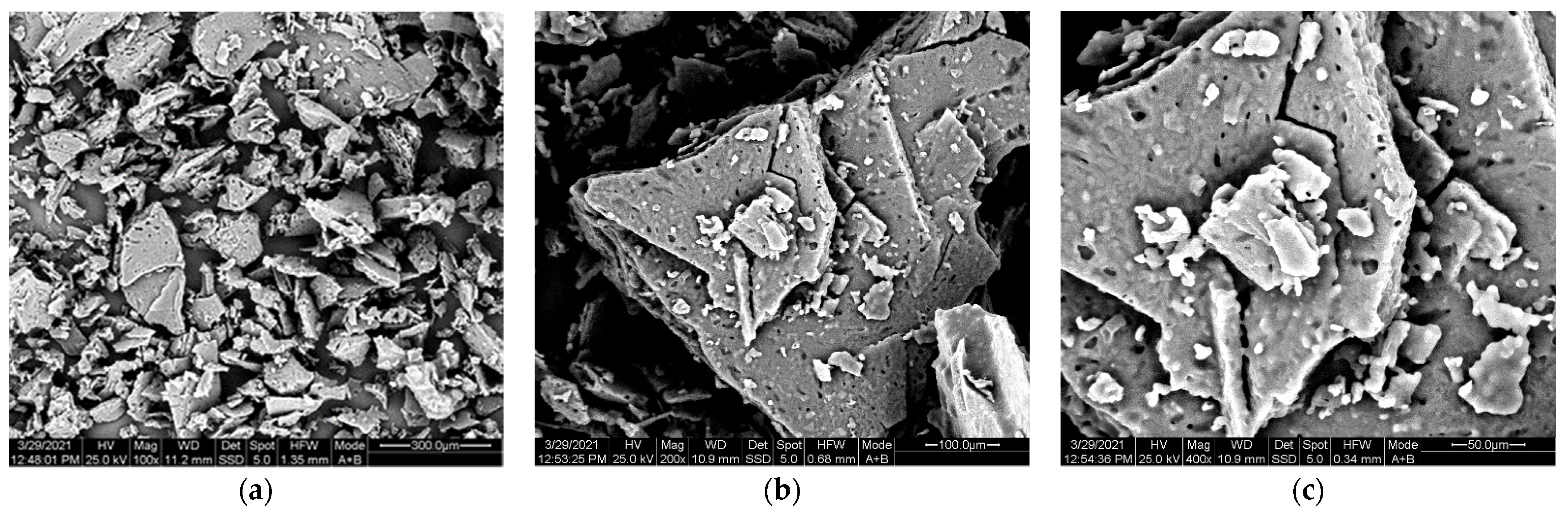 Polymers 13 02625 g009a