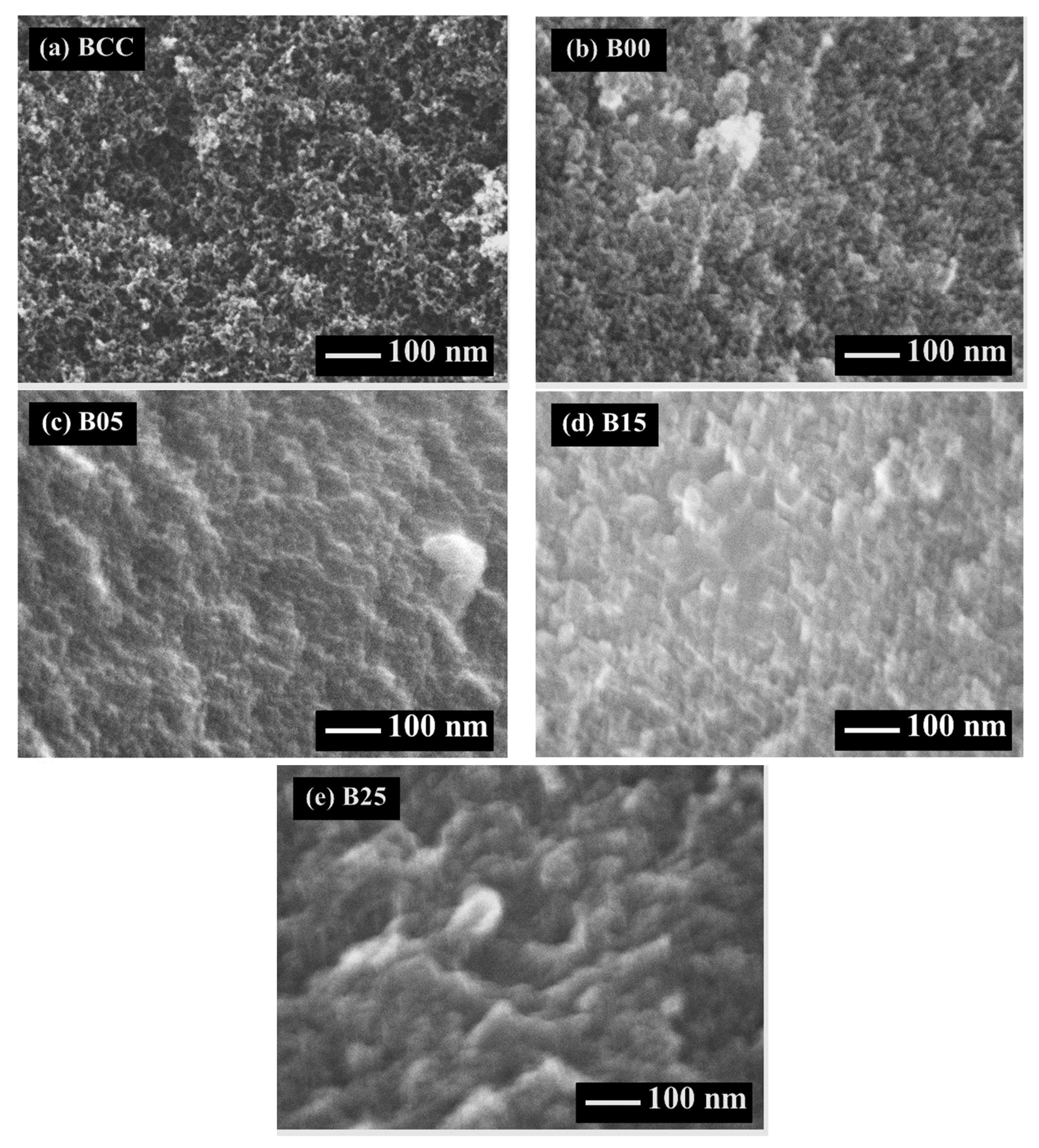 Polymers 13 02631 g001