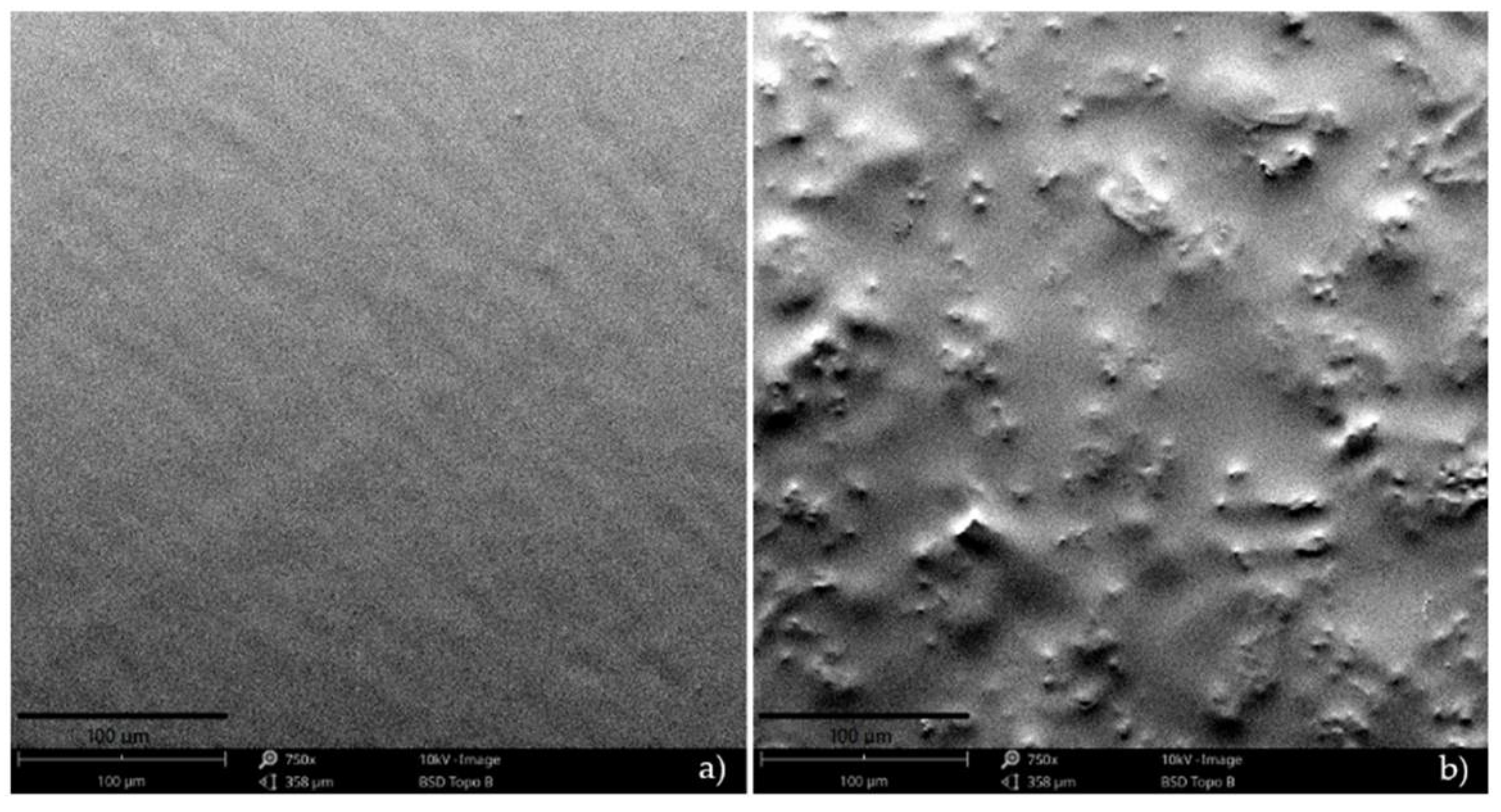 Polymers 13 02632 g003 Polymers 13 02632 g003