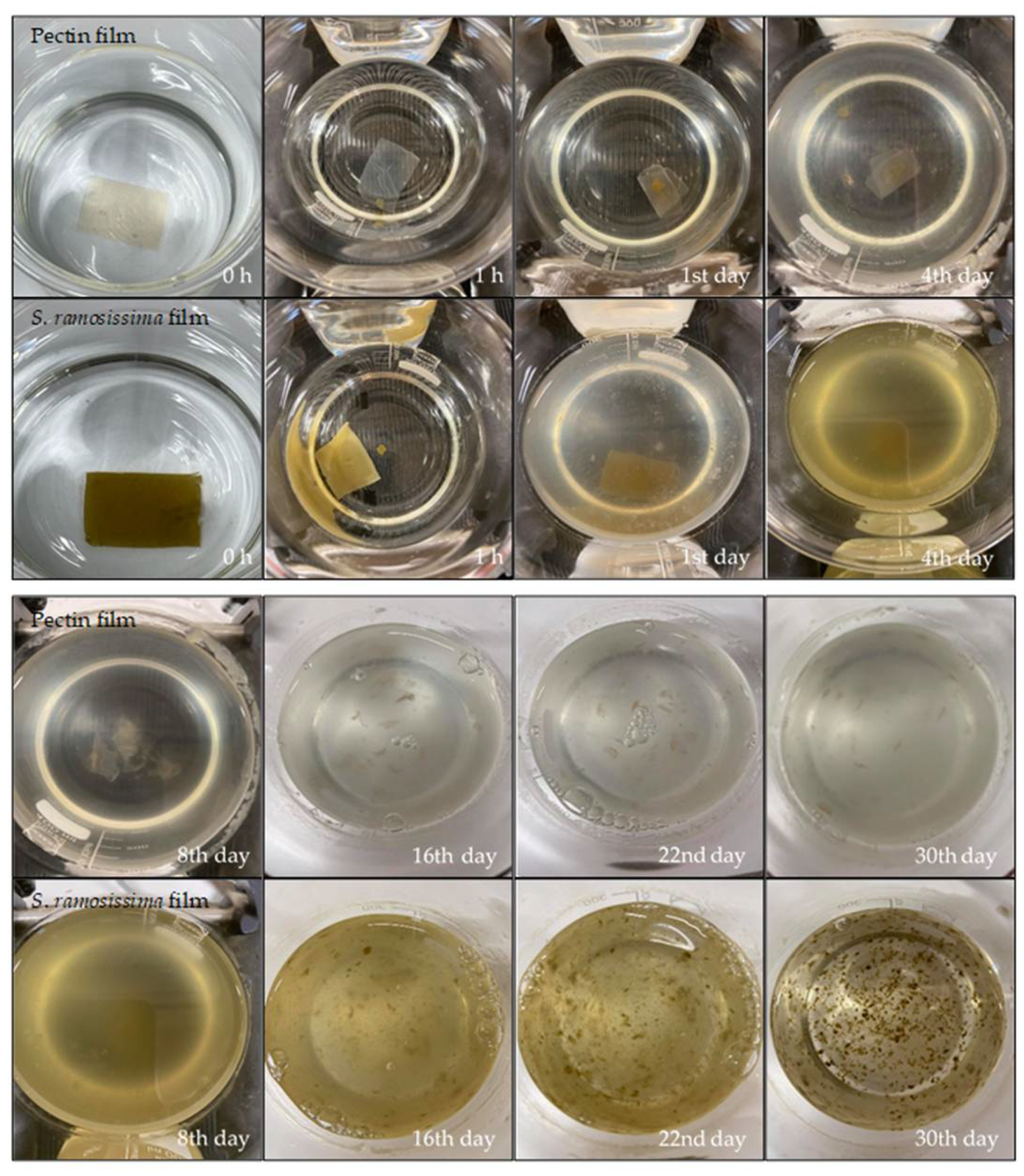 Polymers 13 02632 g004 Polymers 13 02632 g004