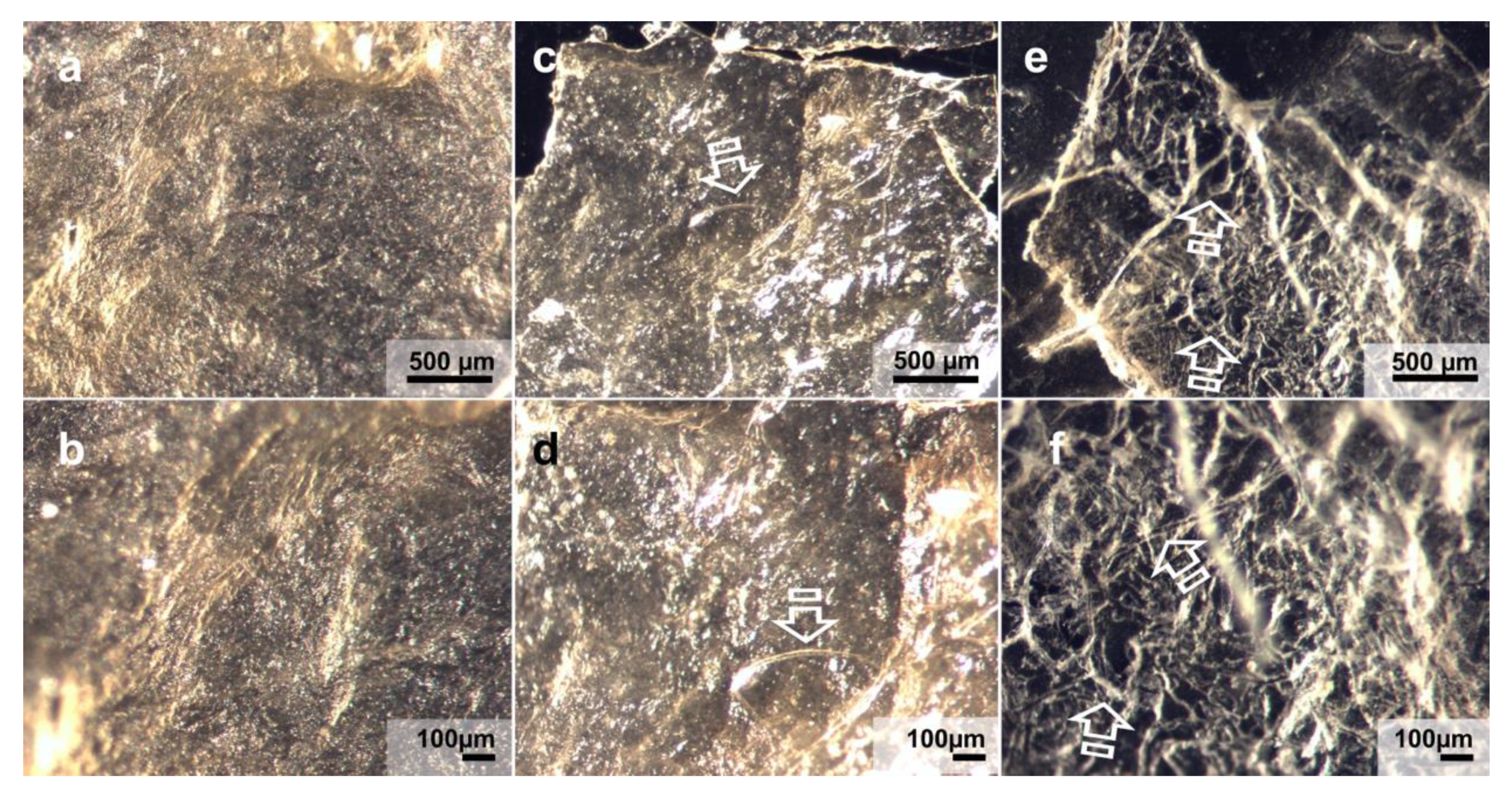 Polymers 13 02633 g005