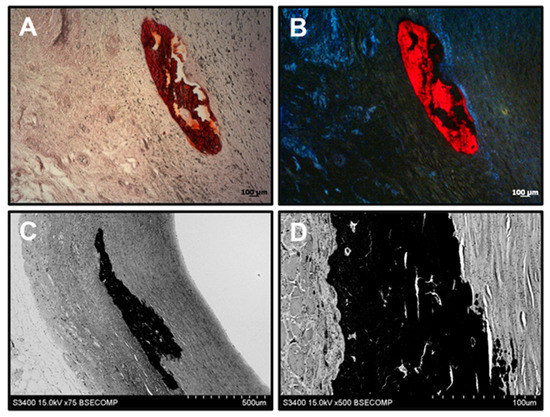 Polymers 13 02637 g0a1 550
