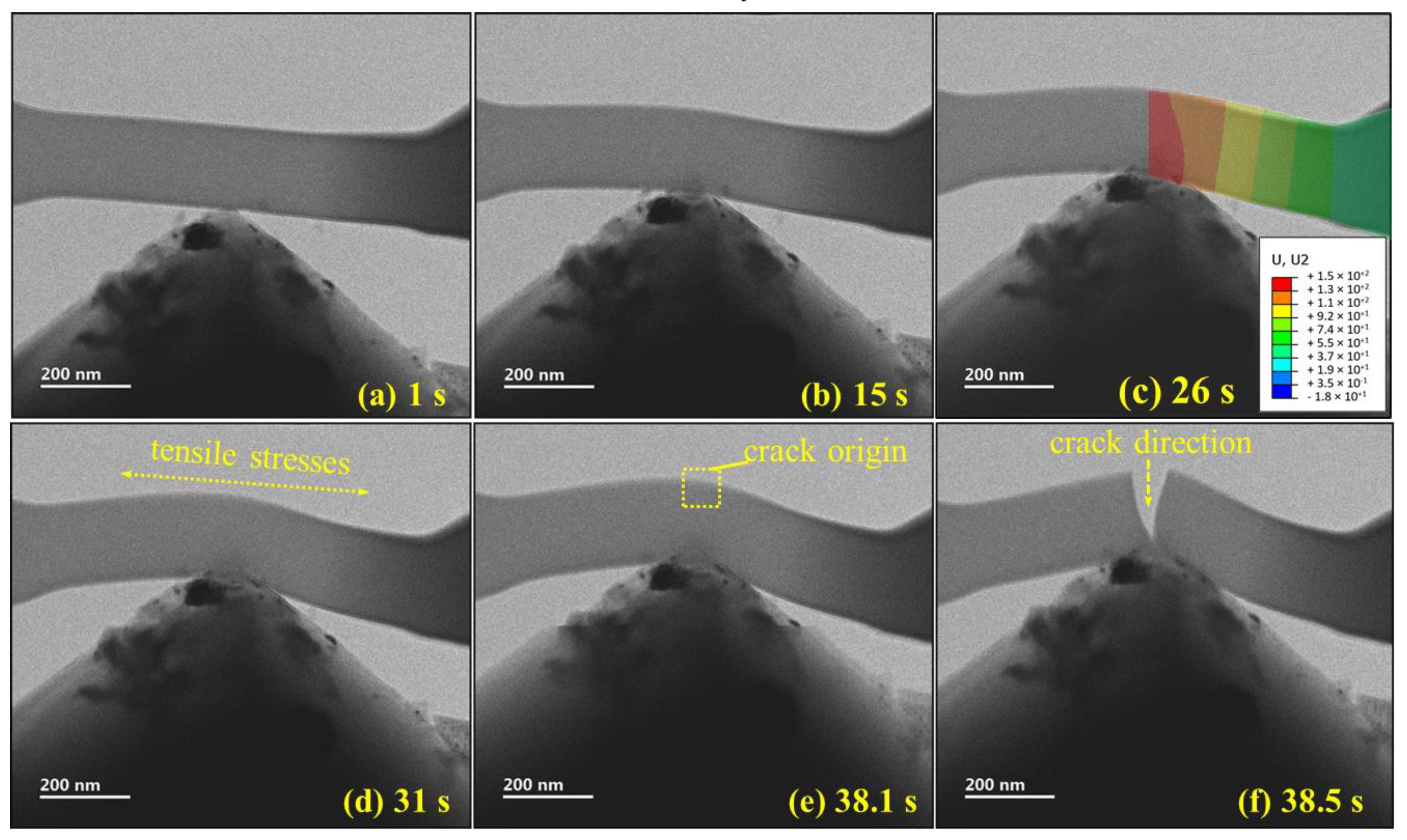 Polymers 13 02640 g005