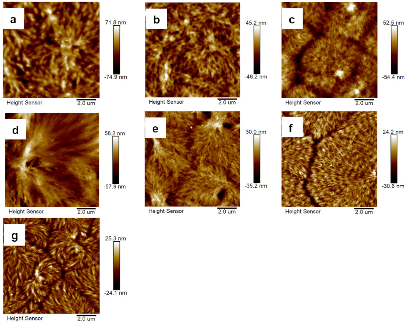 Polymers 13 02645 g007