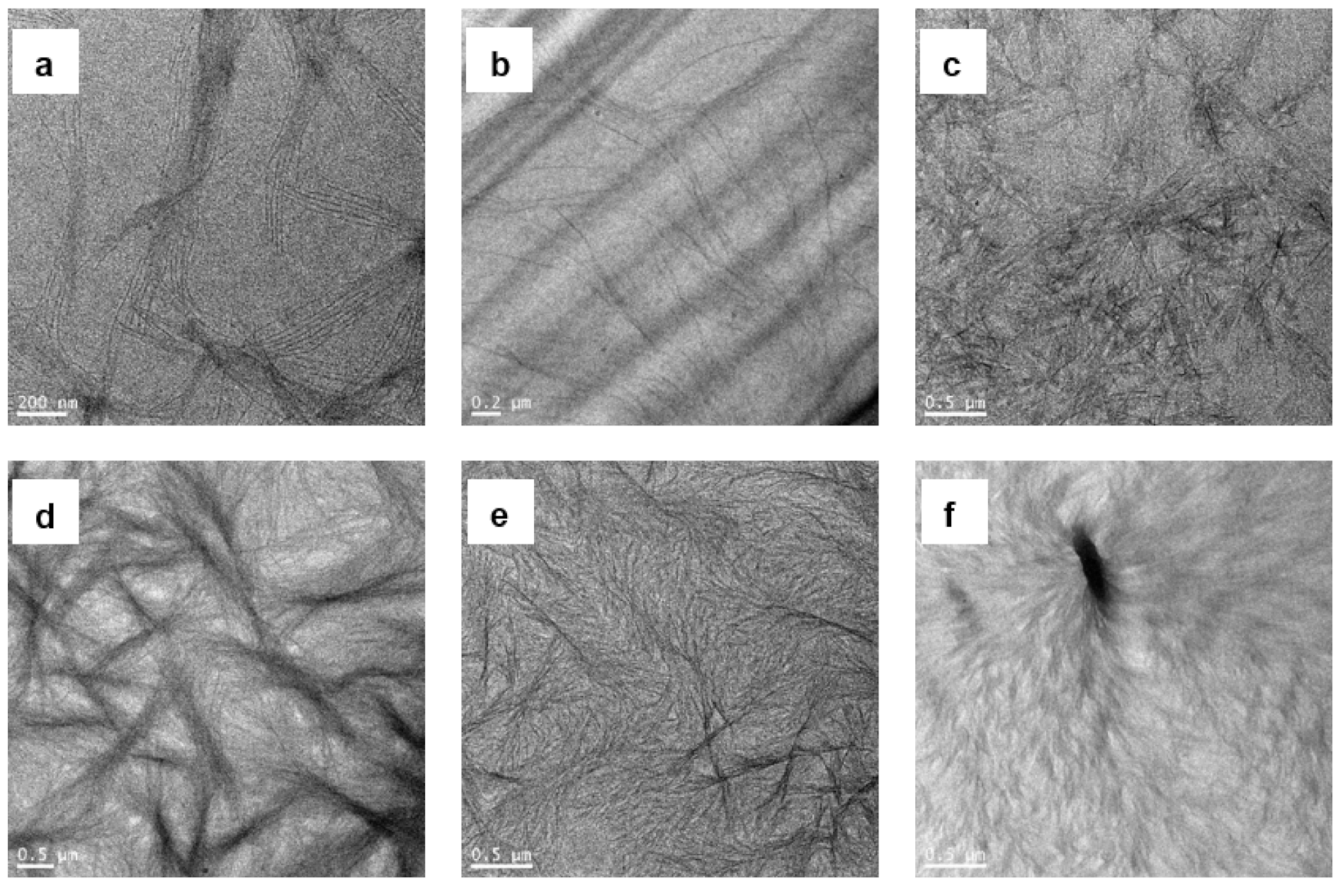 Polymers 13 02645 g008