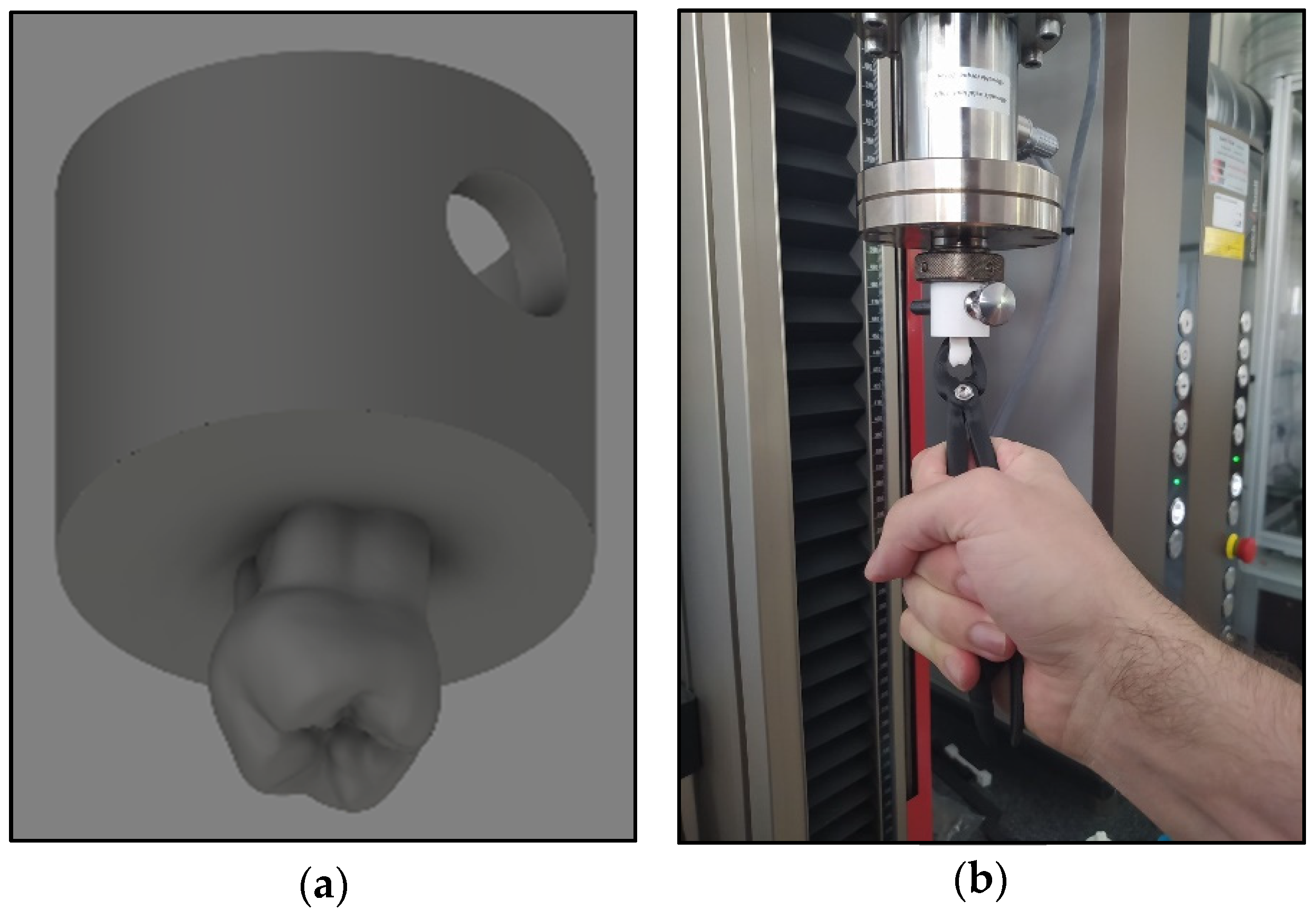 Polymers 13 02647 g004